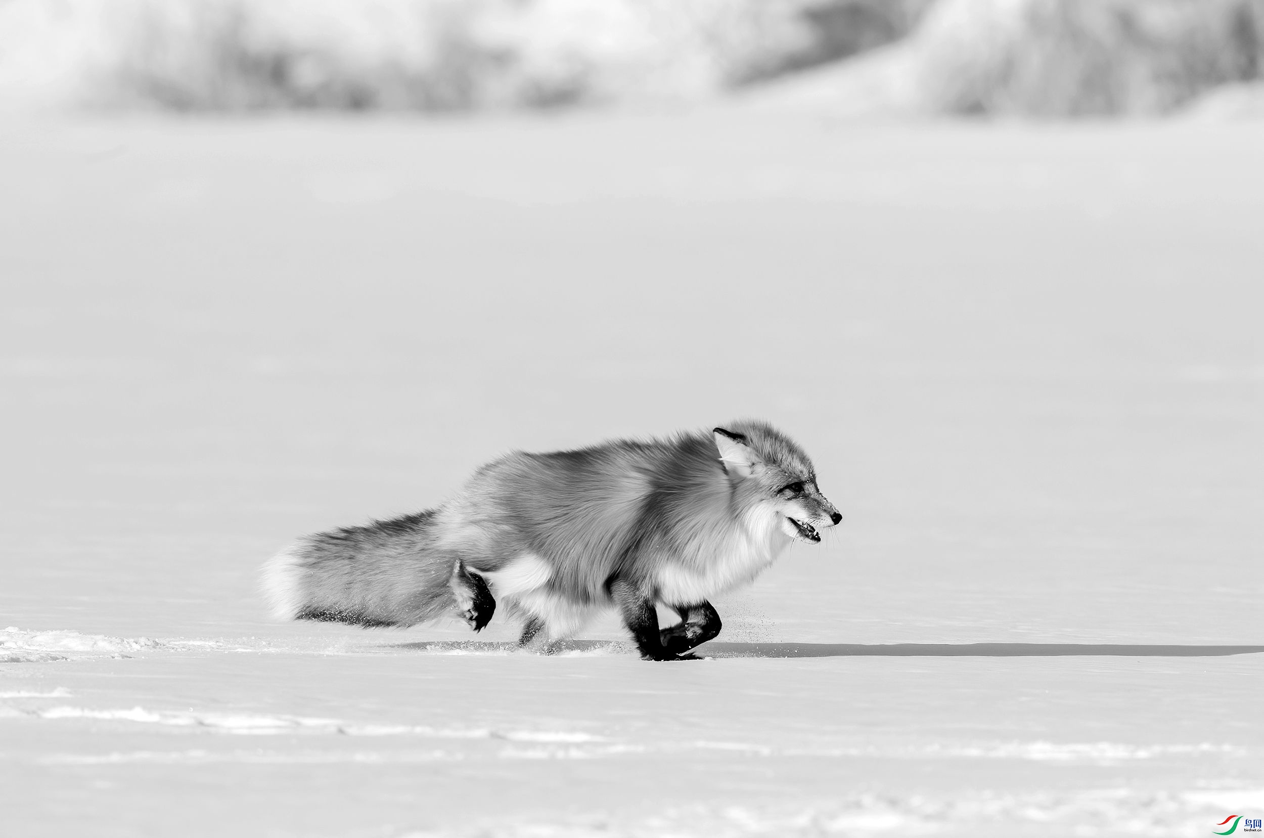 AC3I1606 ����_����.jpg