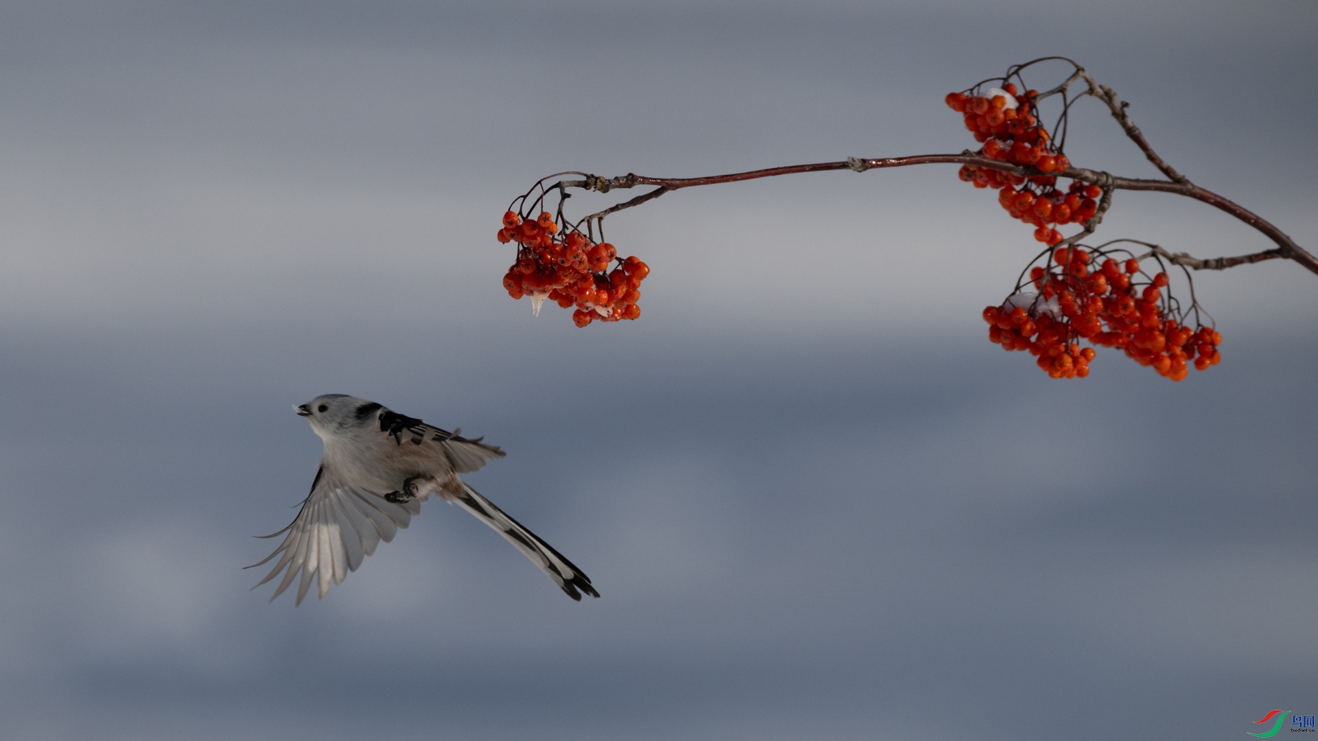 _DSC6828-1x8.jpg