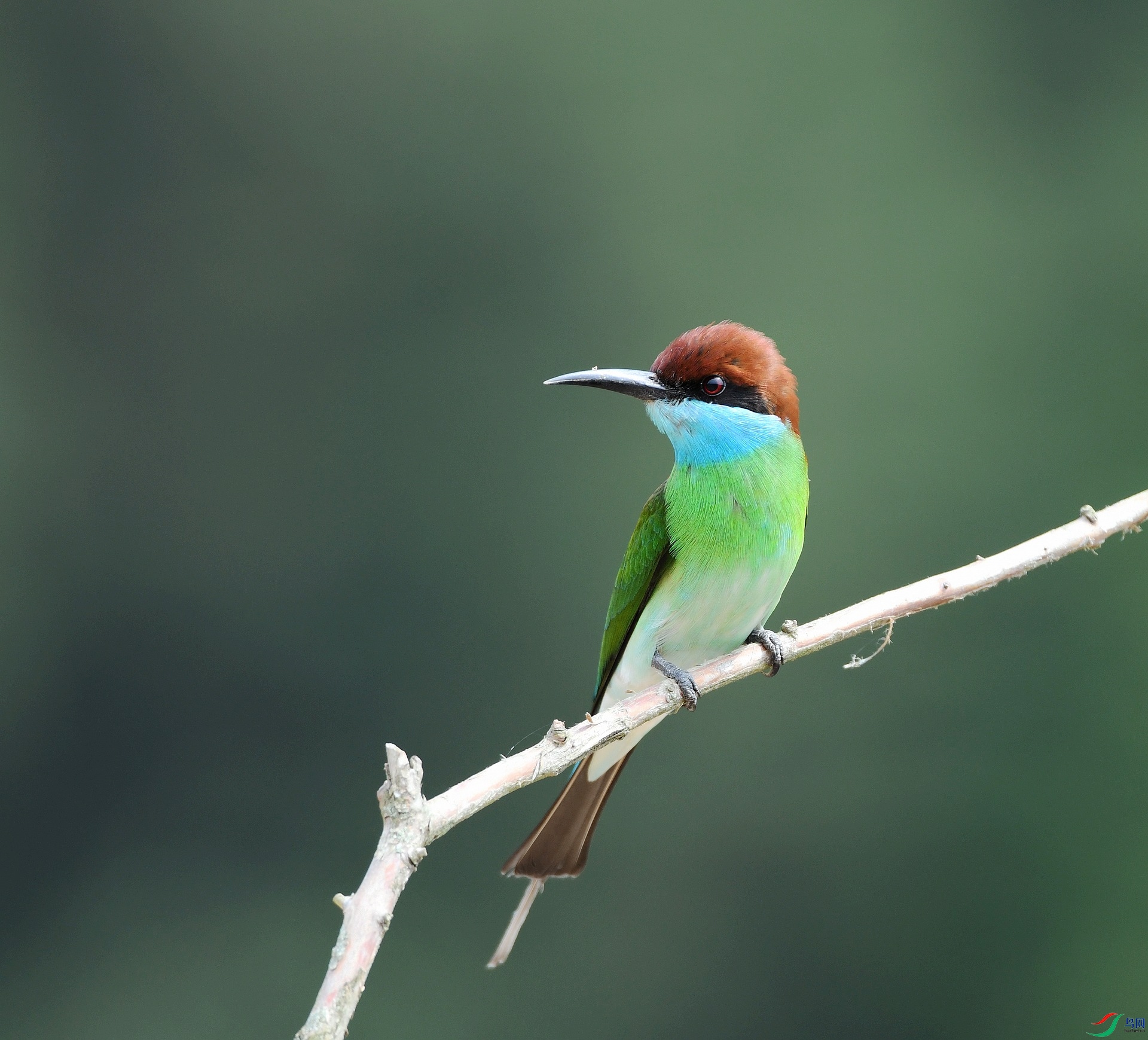 DSC_1445.jpg