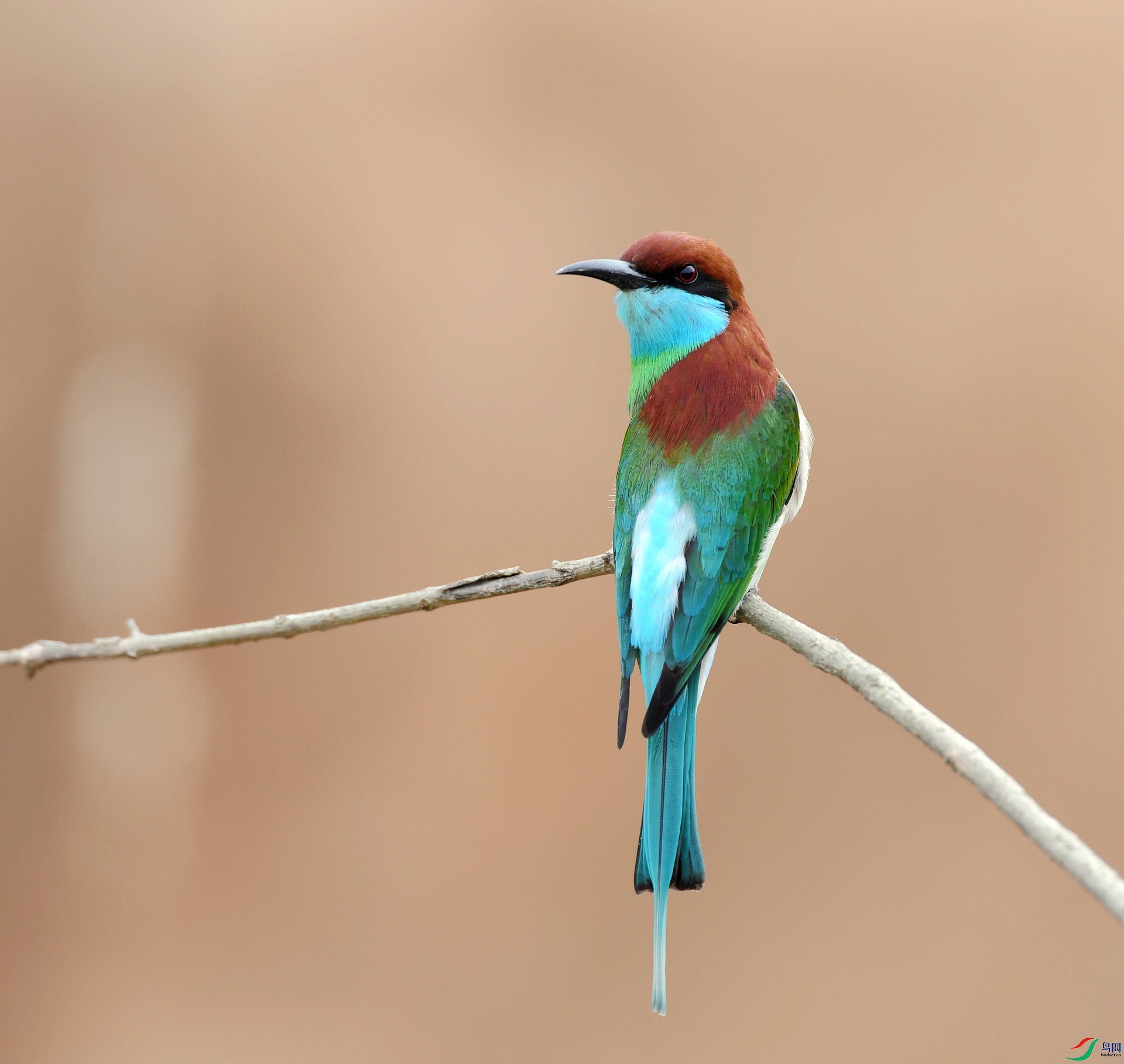 DSC_2563.jpg