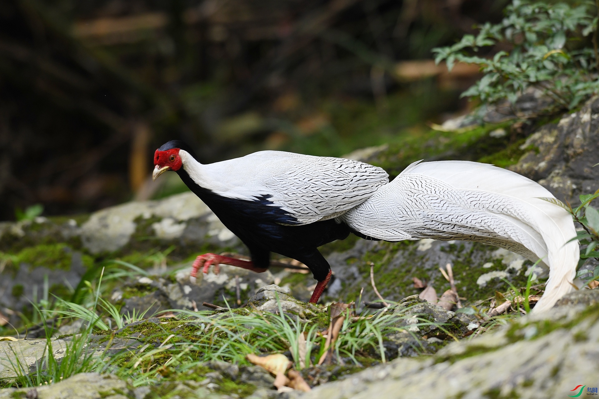 DSC_6168.jpg