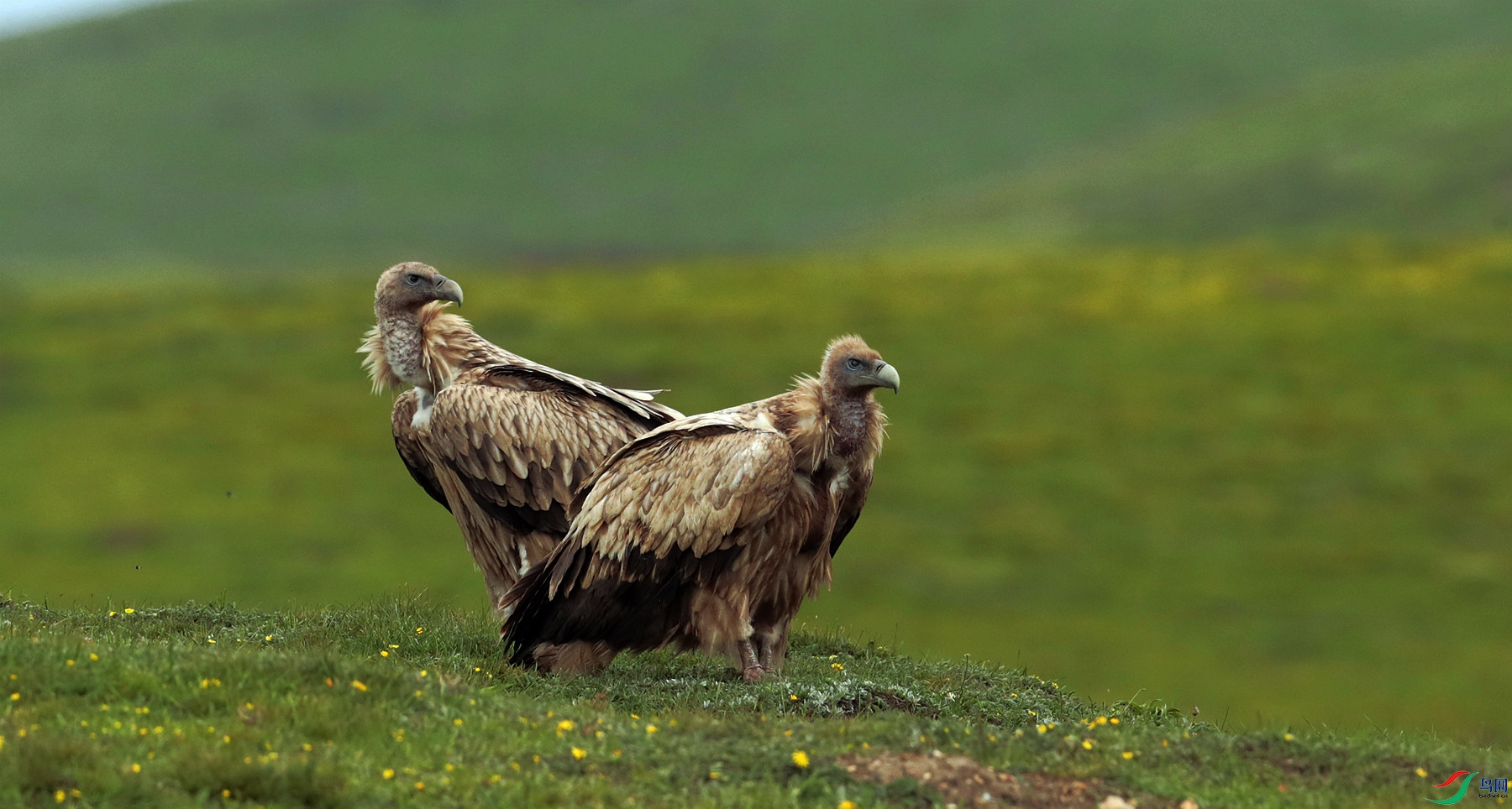 _E2I2008_����.jpg