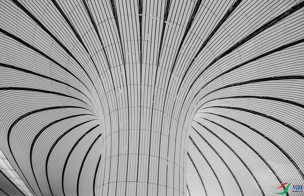 CB0A2408 ����_����.jpg