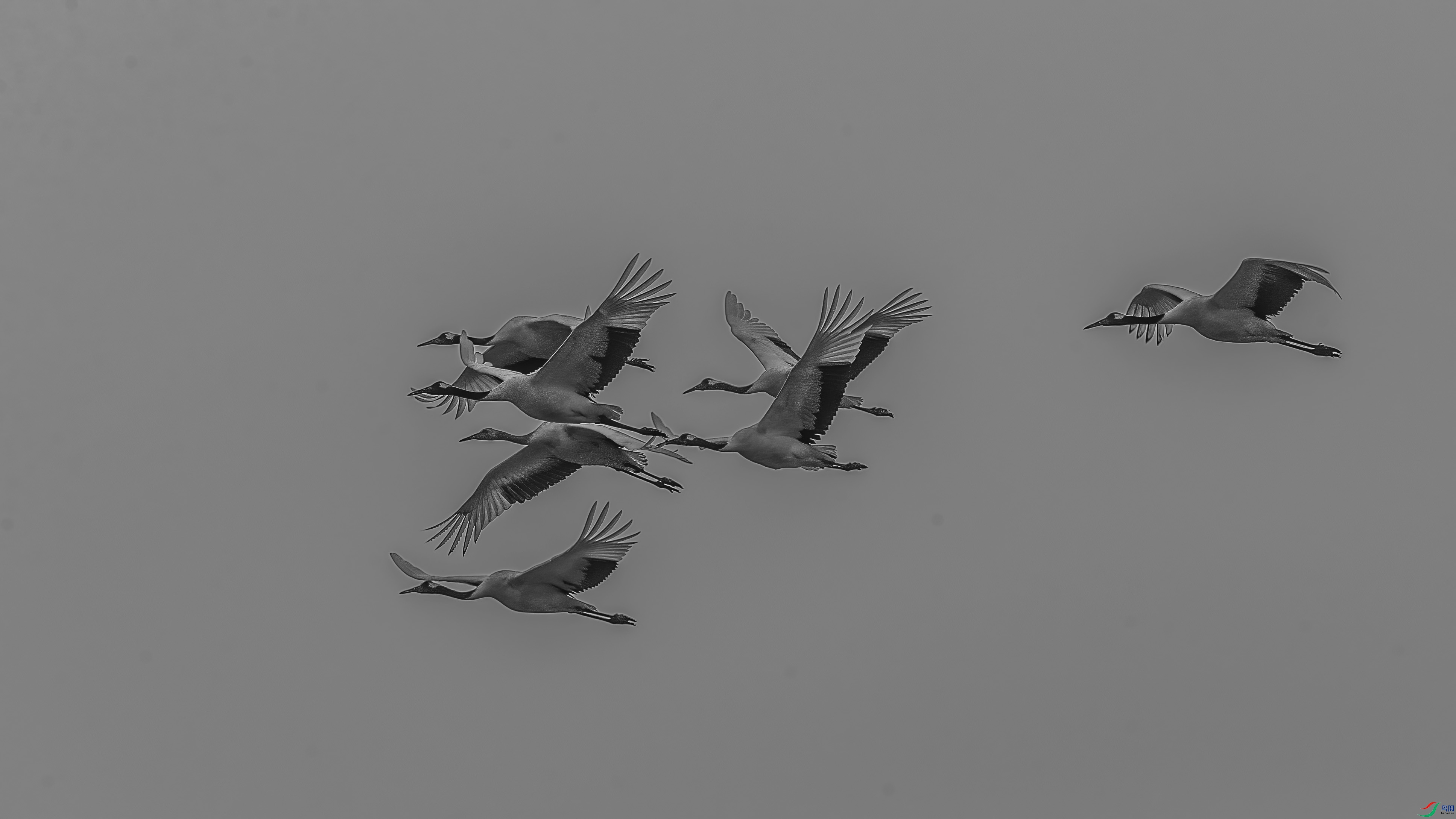 C09R9278 ����1.jpg