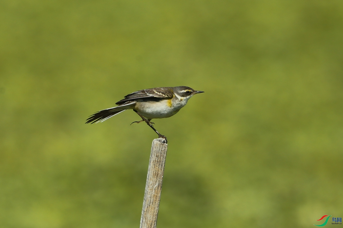 Picture 12904448.jpg