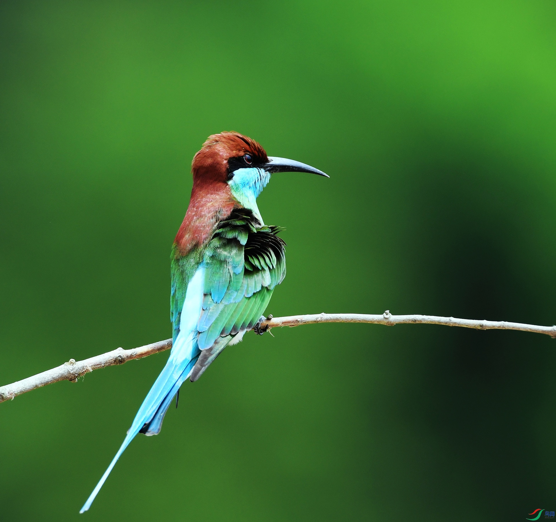 DSC_2300.jpg