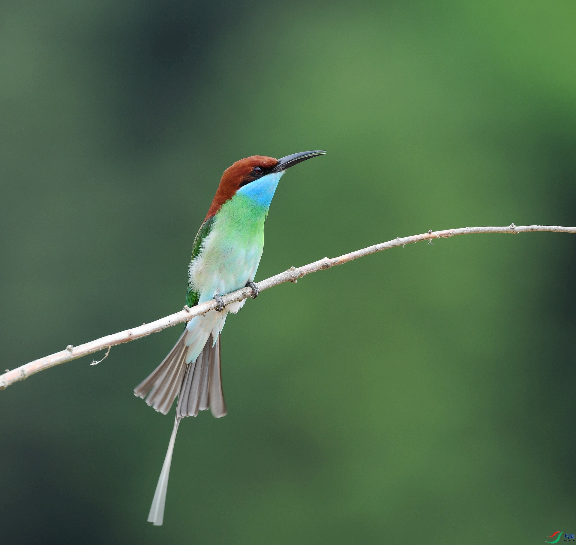 DSC_1802.jpg