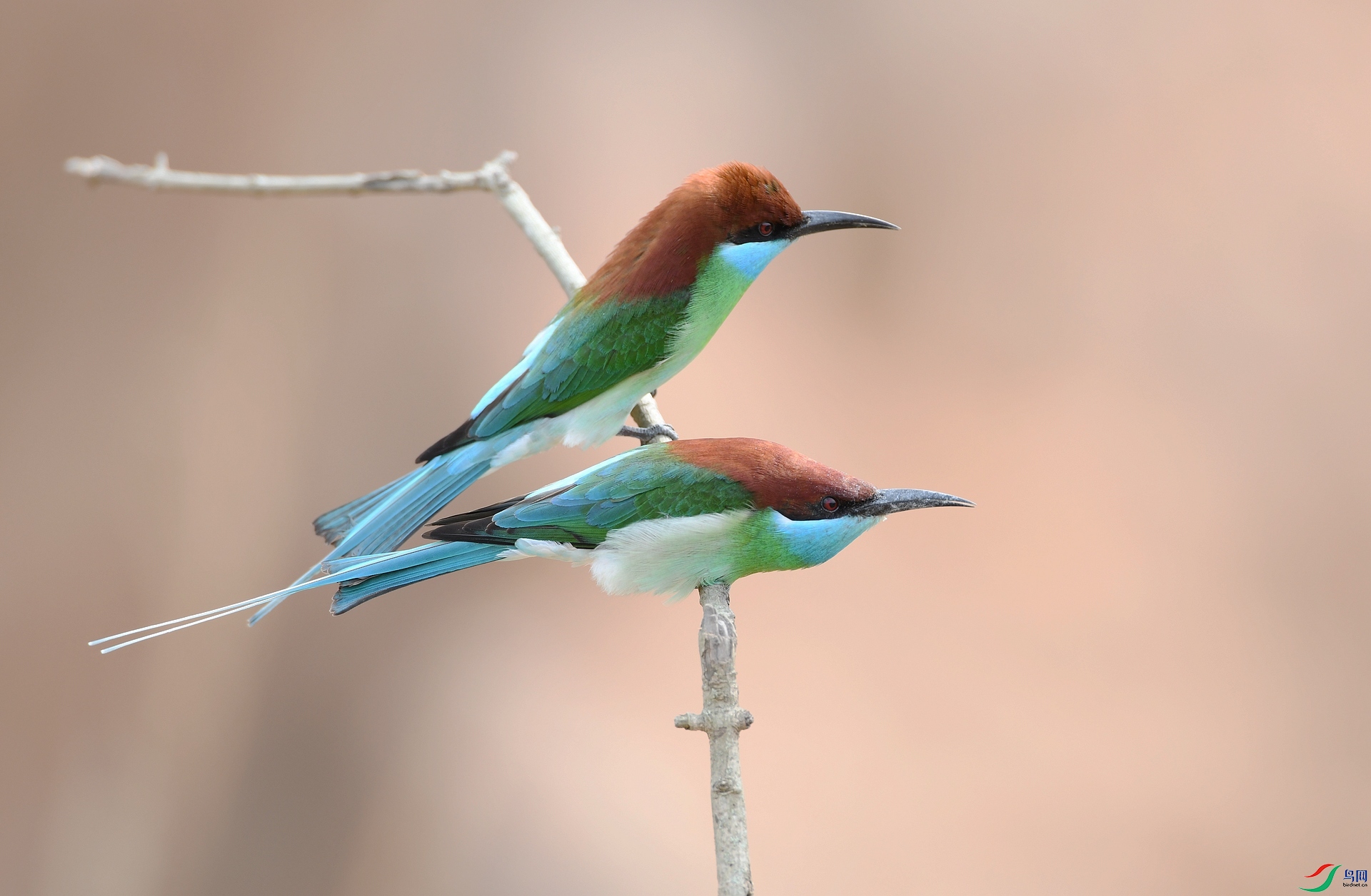 DSC_1169.jpg