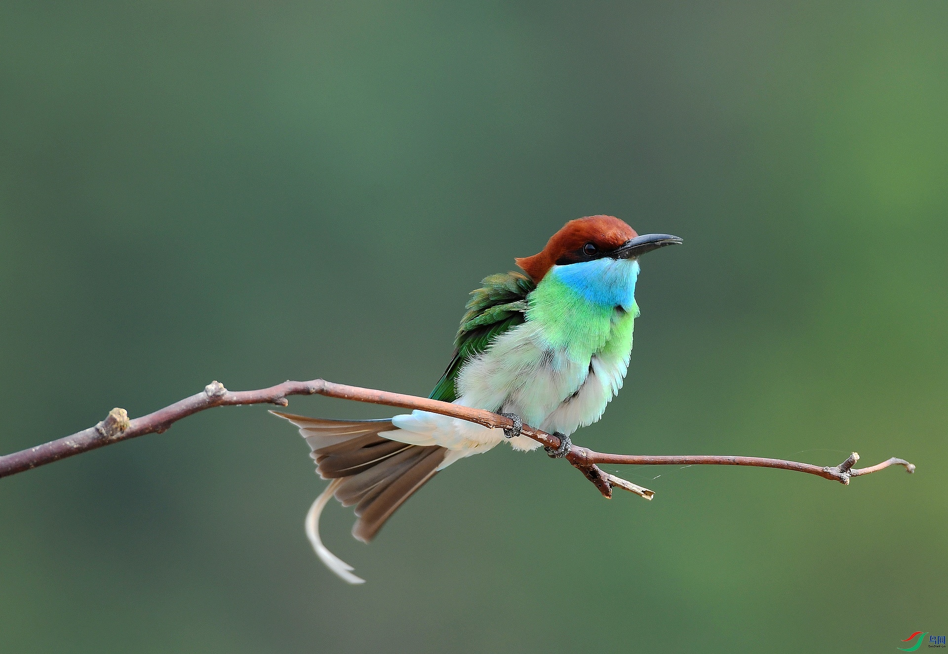 DSC_1049.jpg