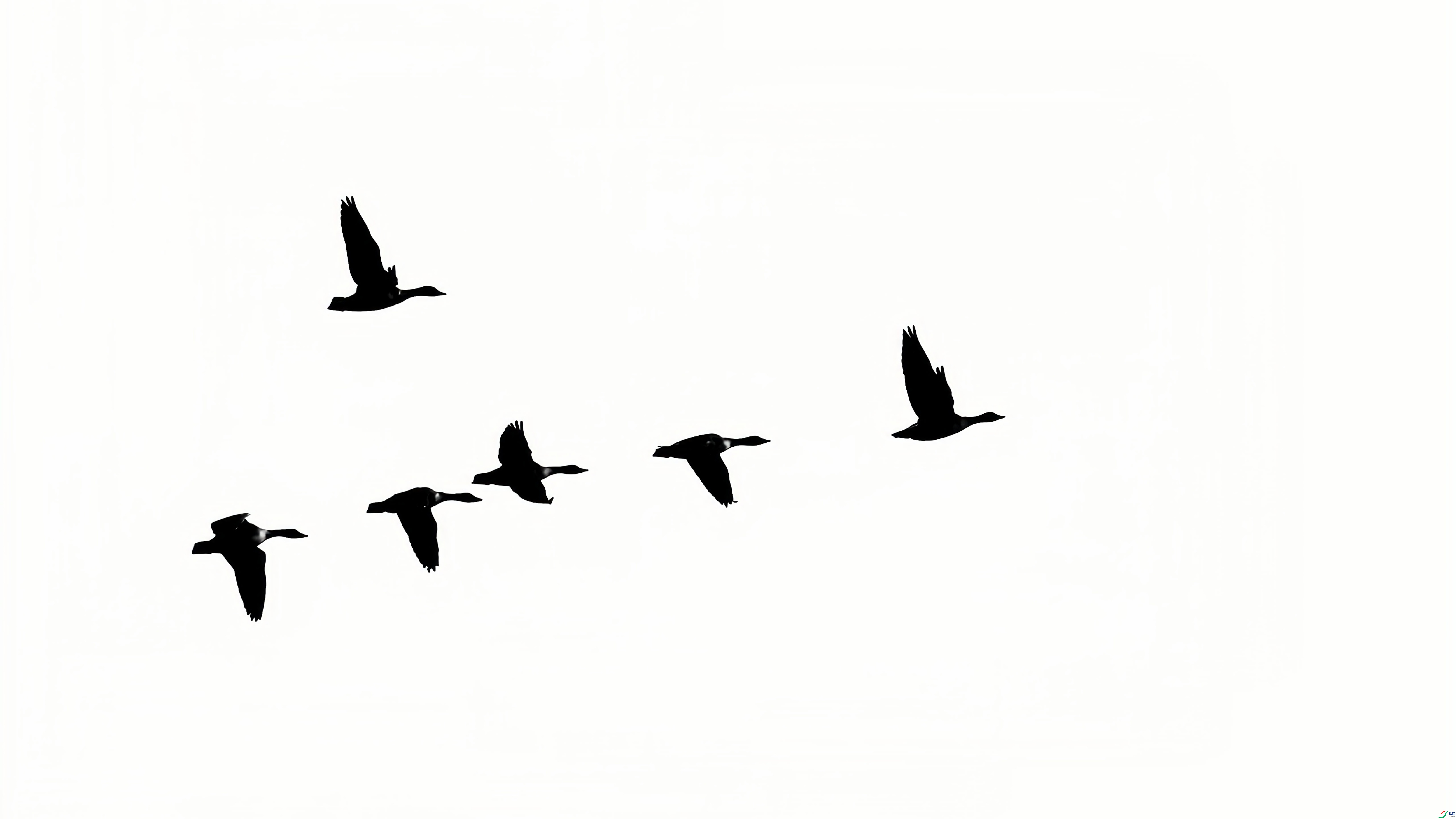 2F6A8873_����.jpg
