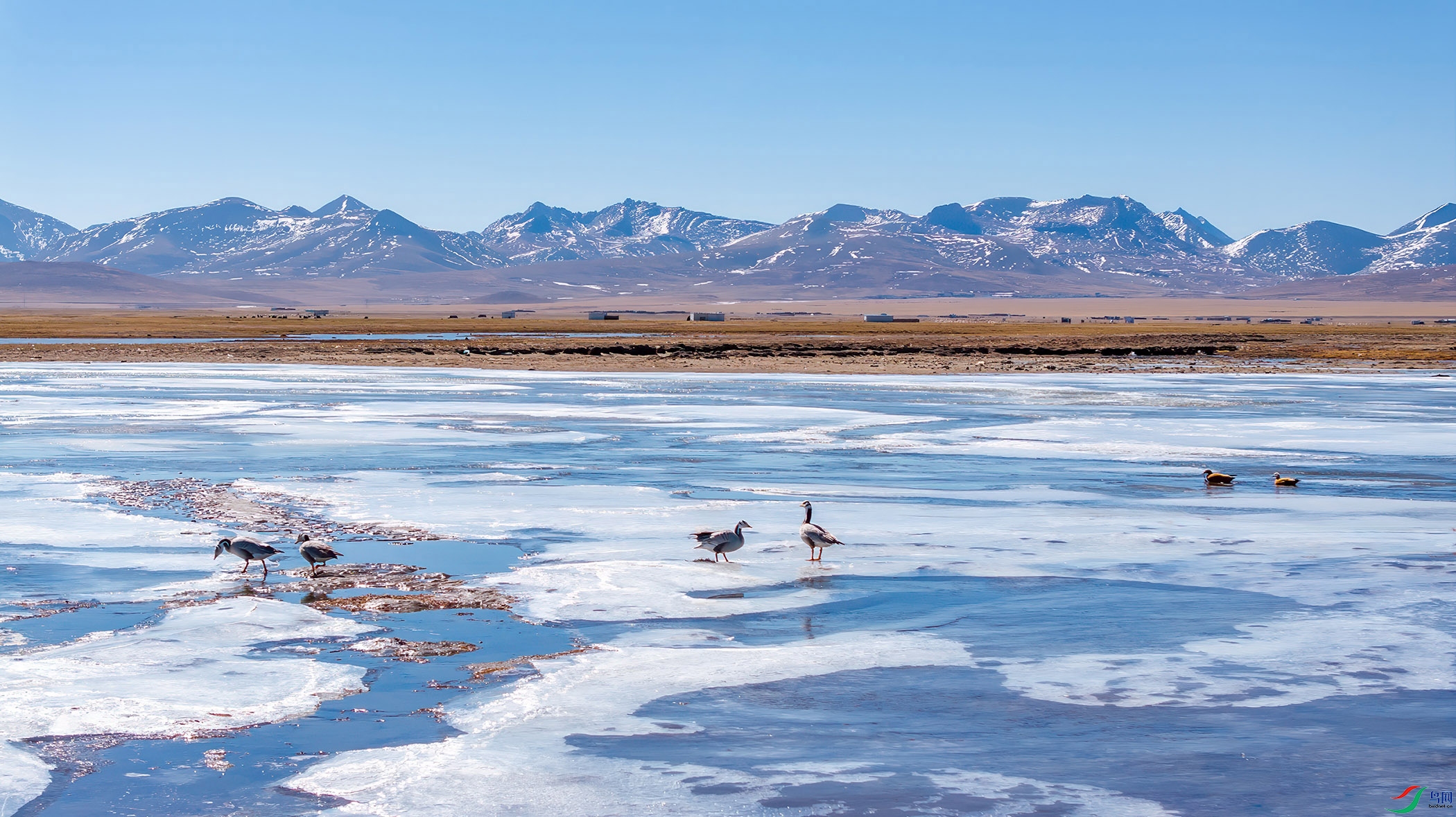 _0108_D �������� x.jpg