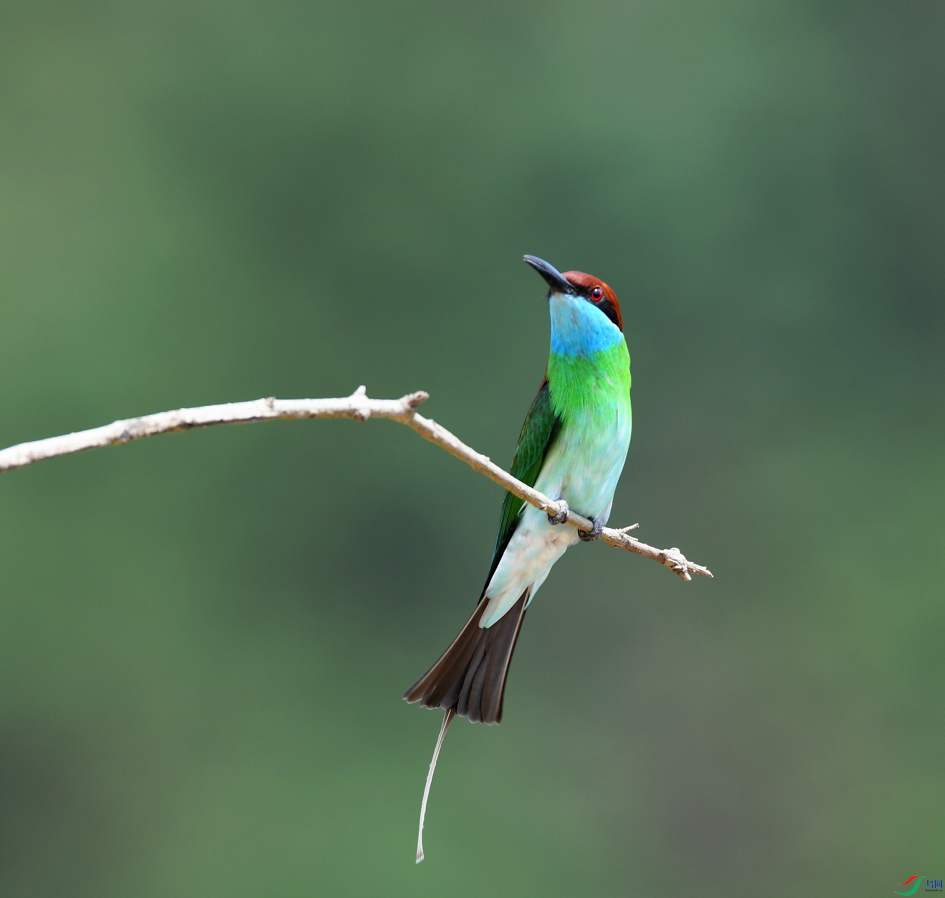 DSC_9424.jpg