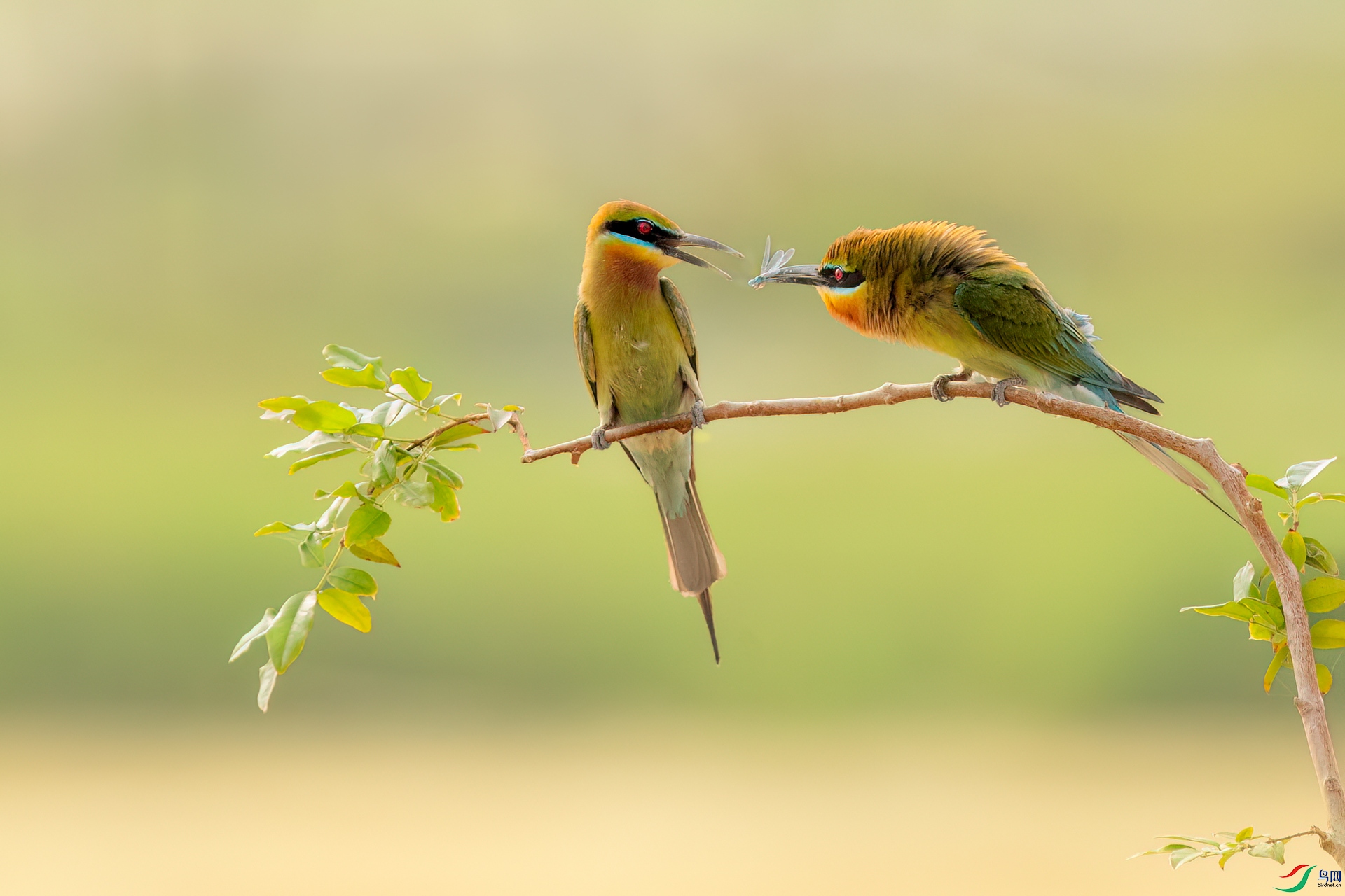 B86I5432 _����.jpg