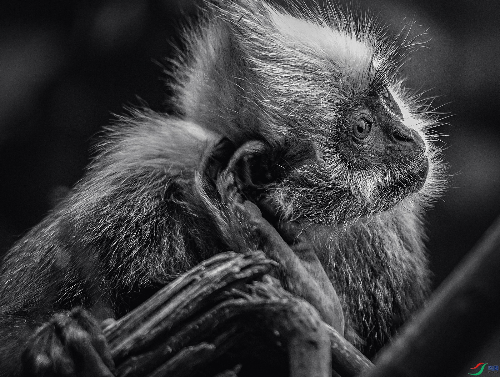 948e78f664afcf0a36d3b6b7873cfaf-2 ����.jpg