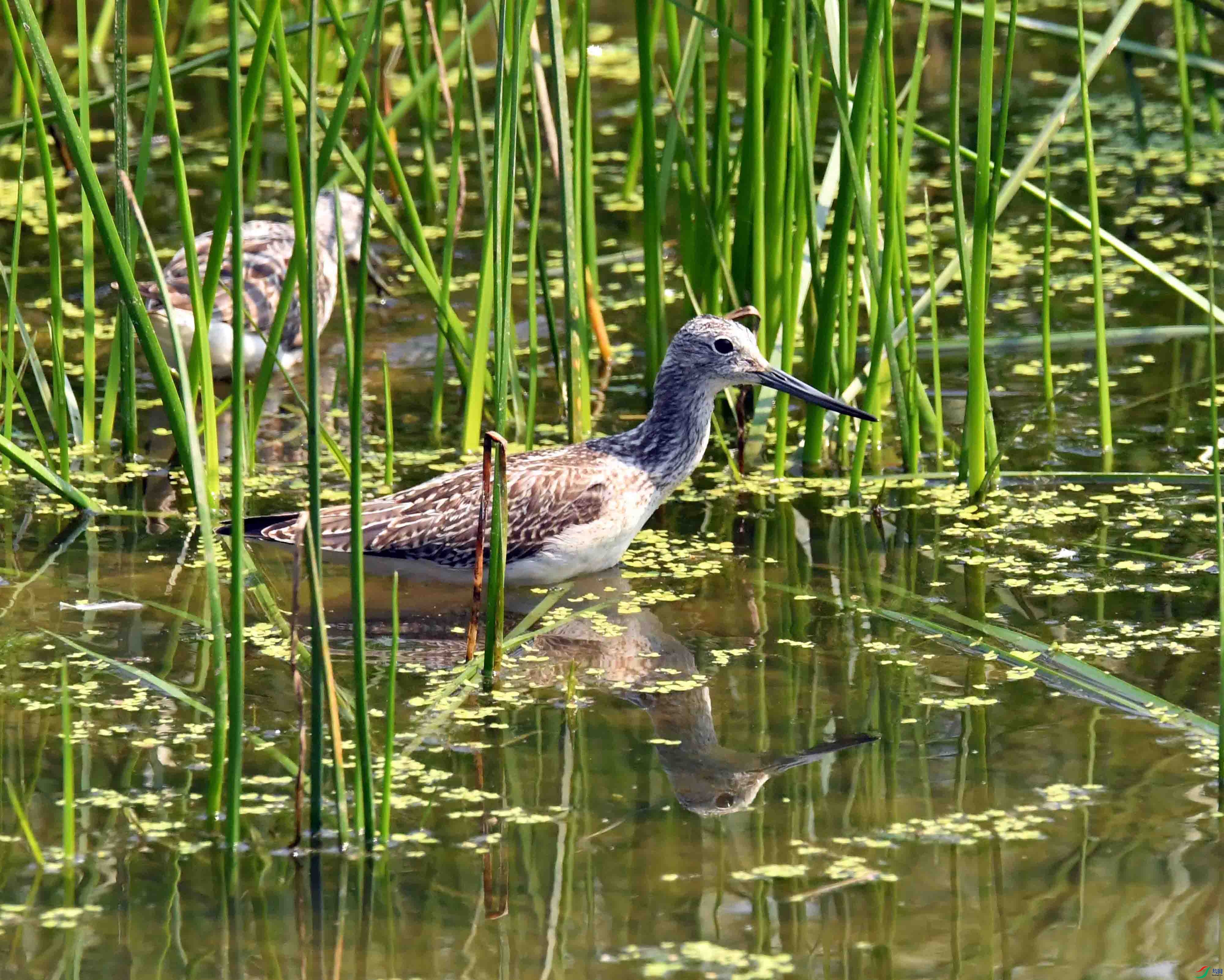 DSC_3549.JPG