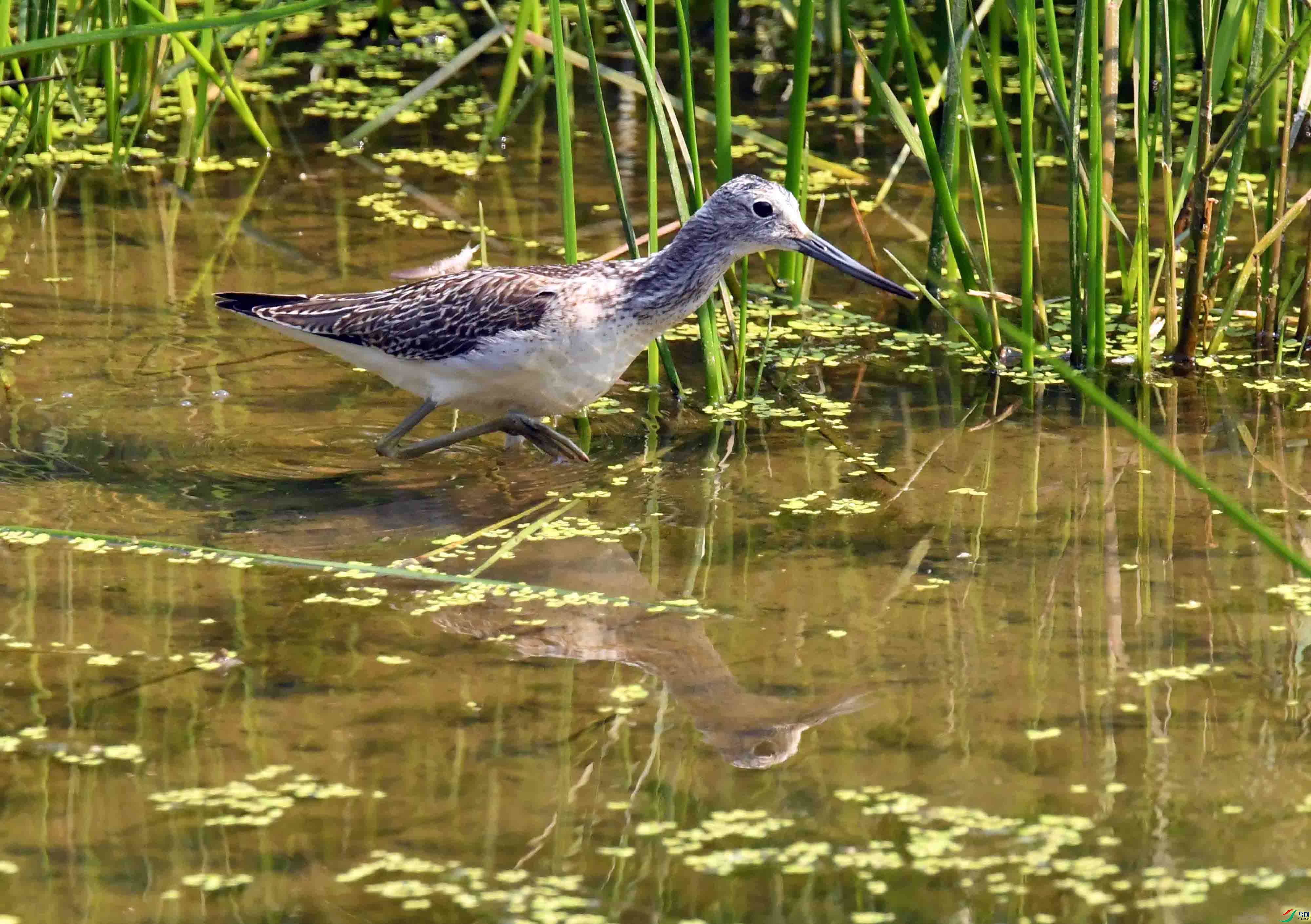 DSC_3527.JPG