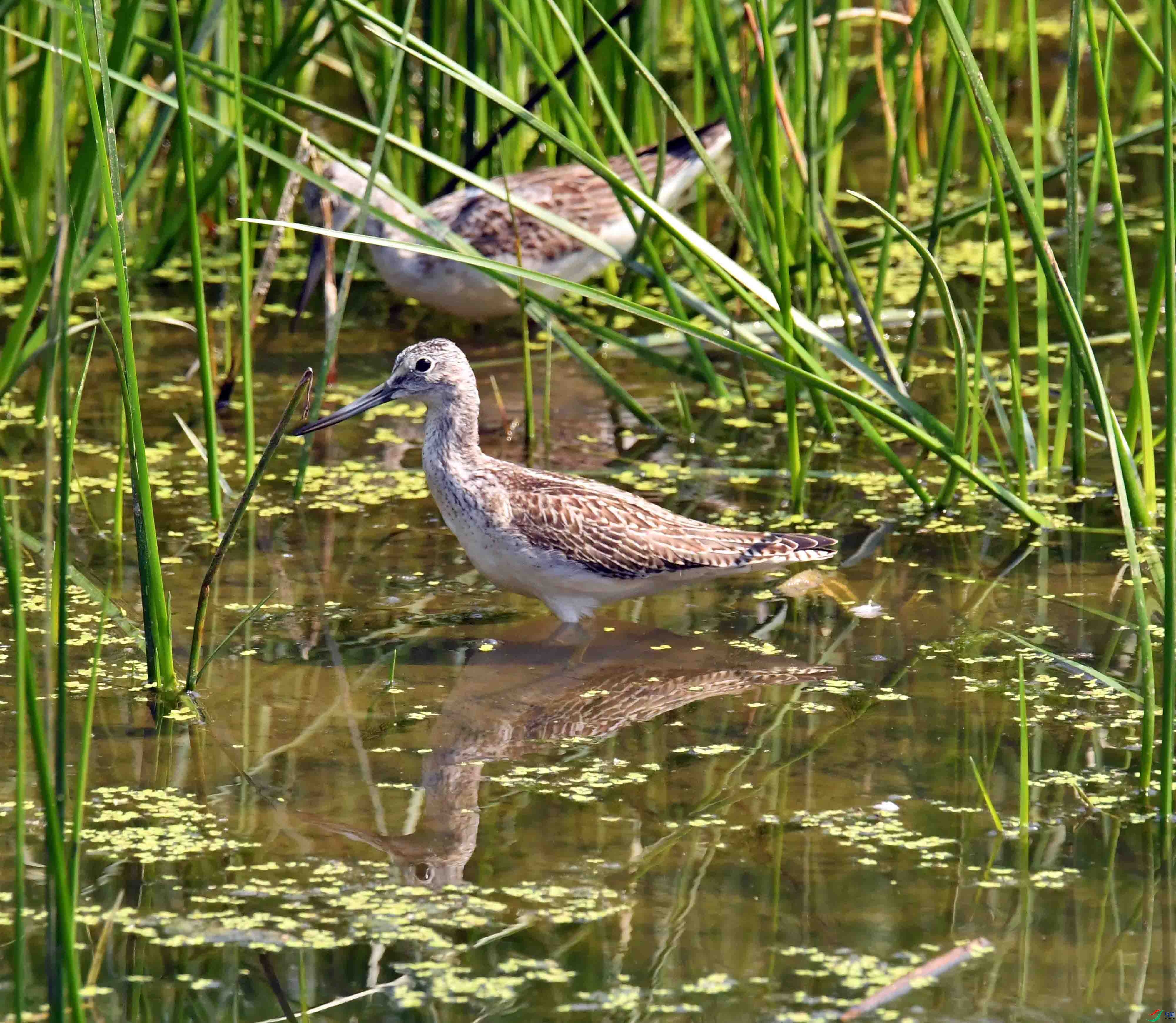 DSC_3552.JPG