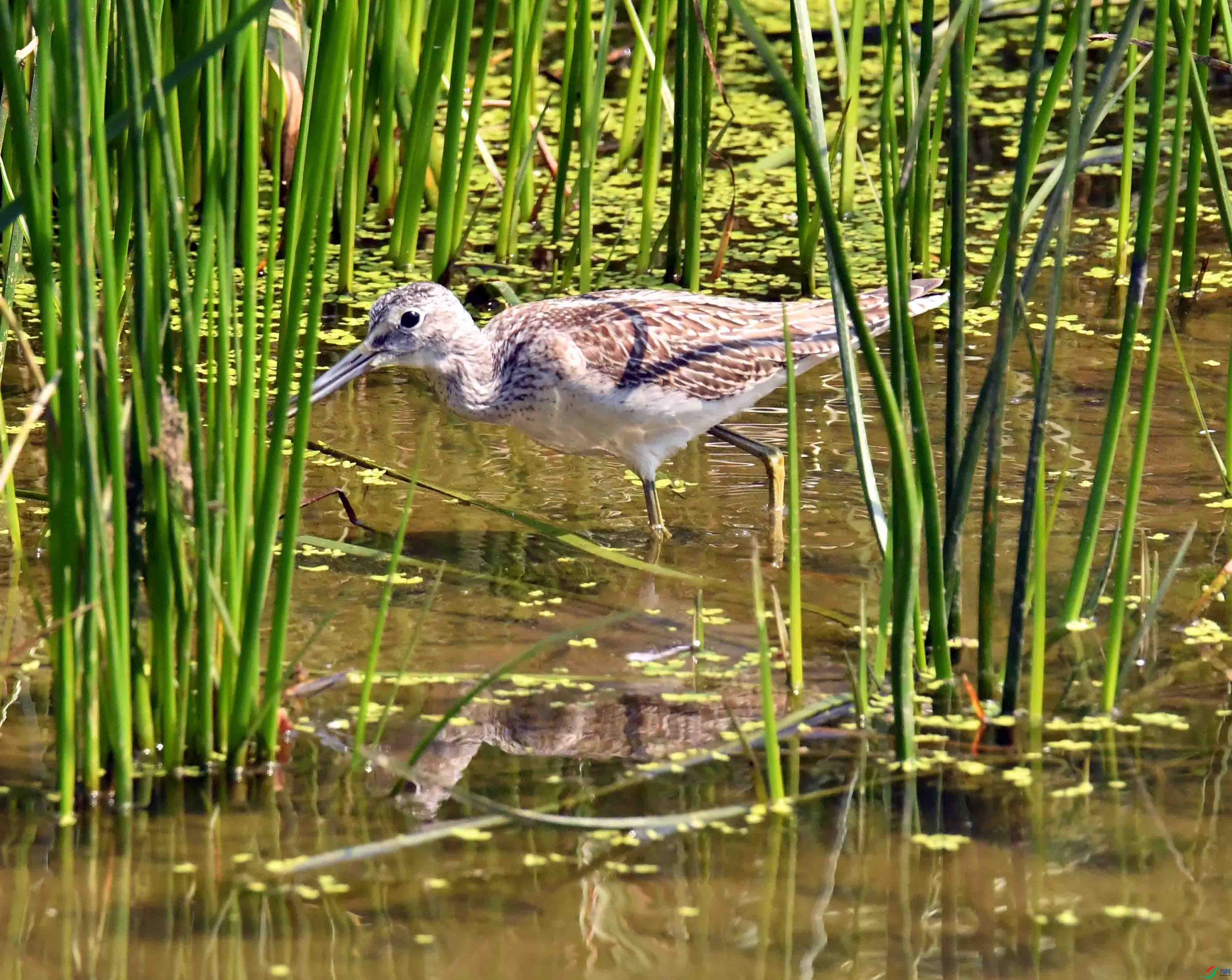 DSC_3564.JPG