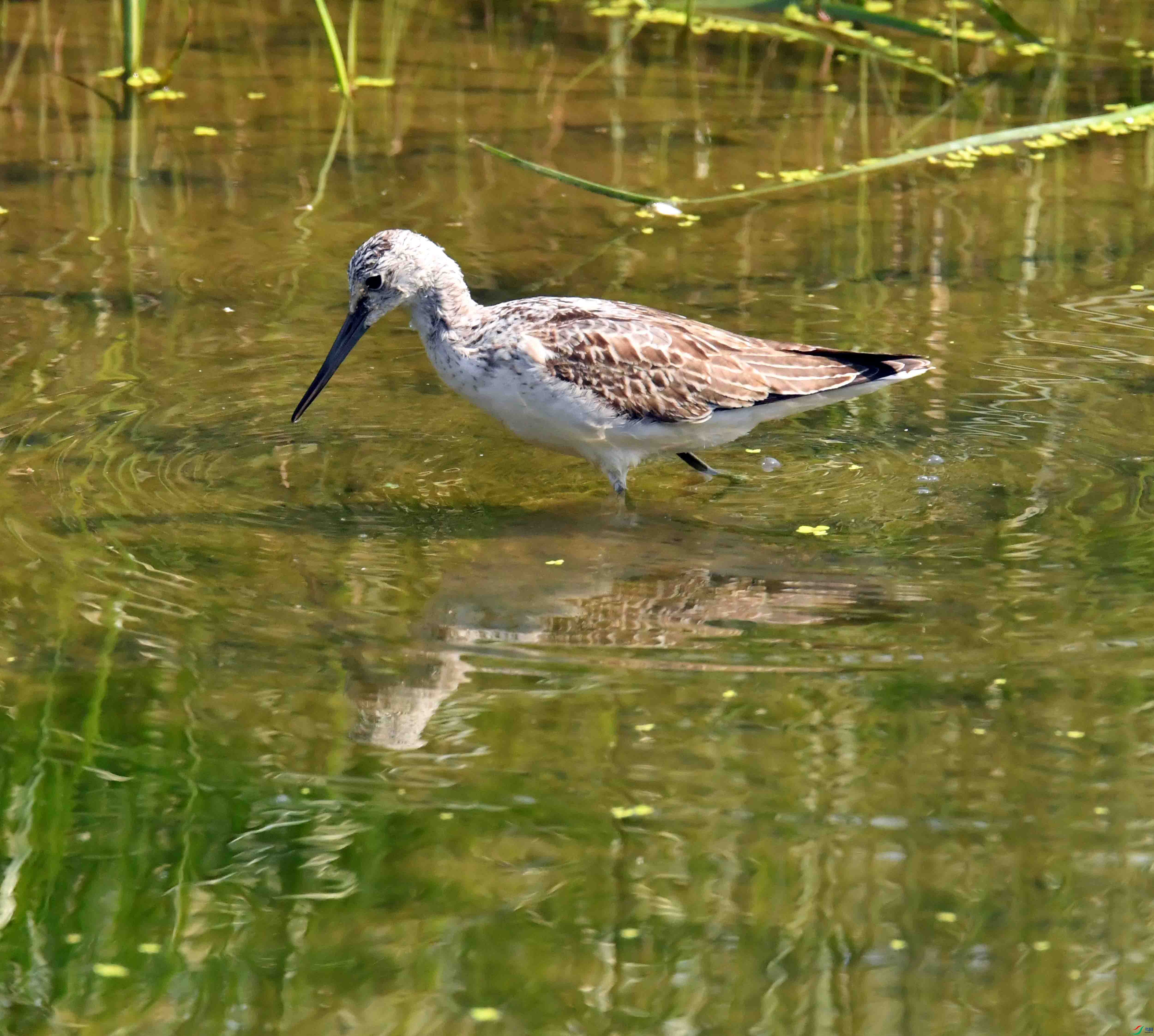 DSC_3584.JPG
