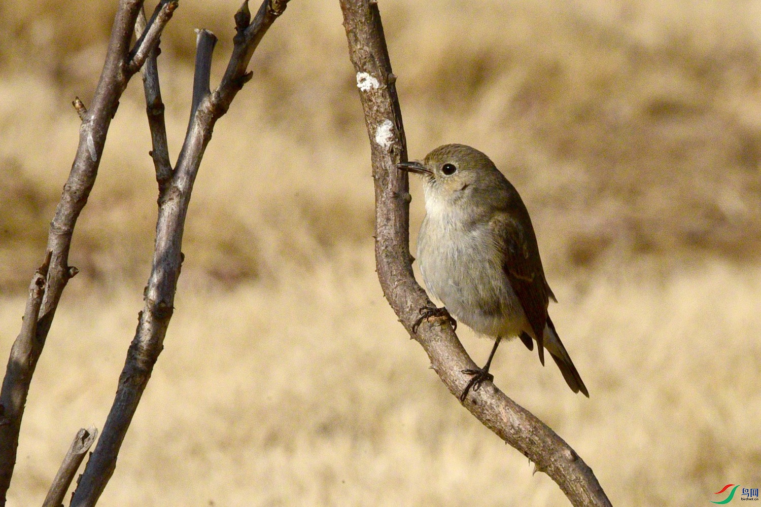 DSC_1818.JPG