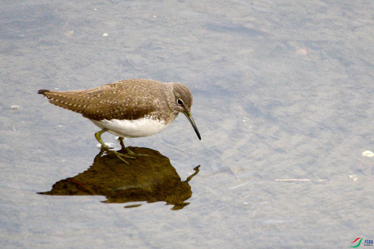 DSC_4811.JPG
