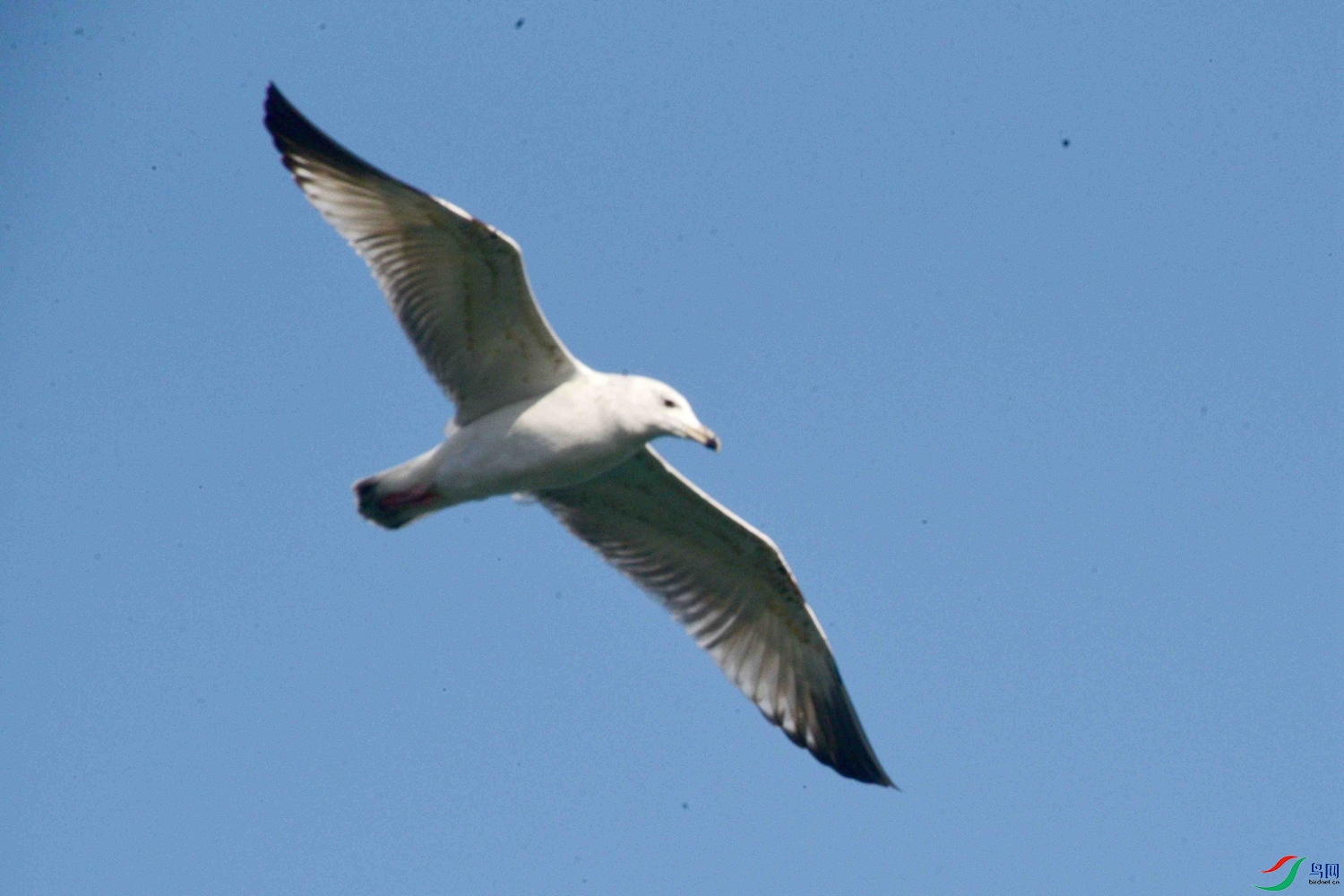 DSC_9746.JPG