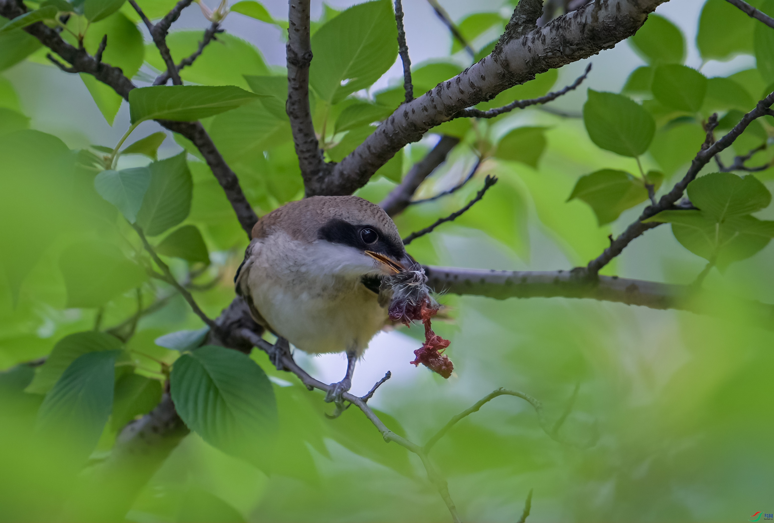 DSC_0357.jpg