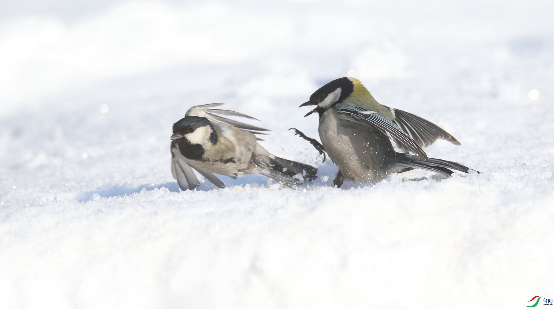 0G1A5858 ����.jpg