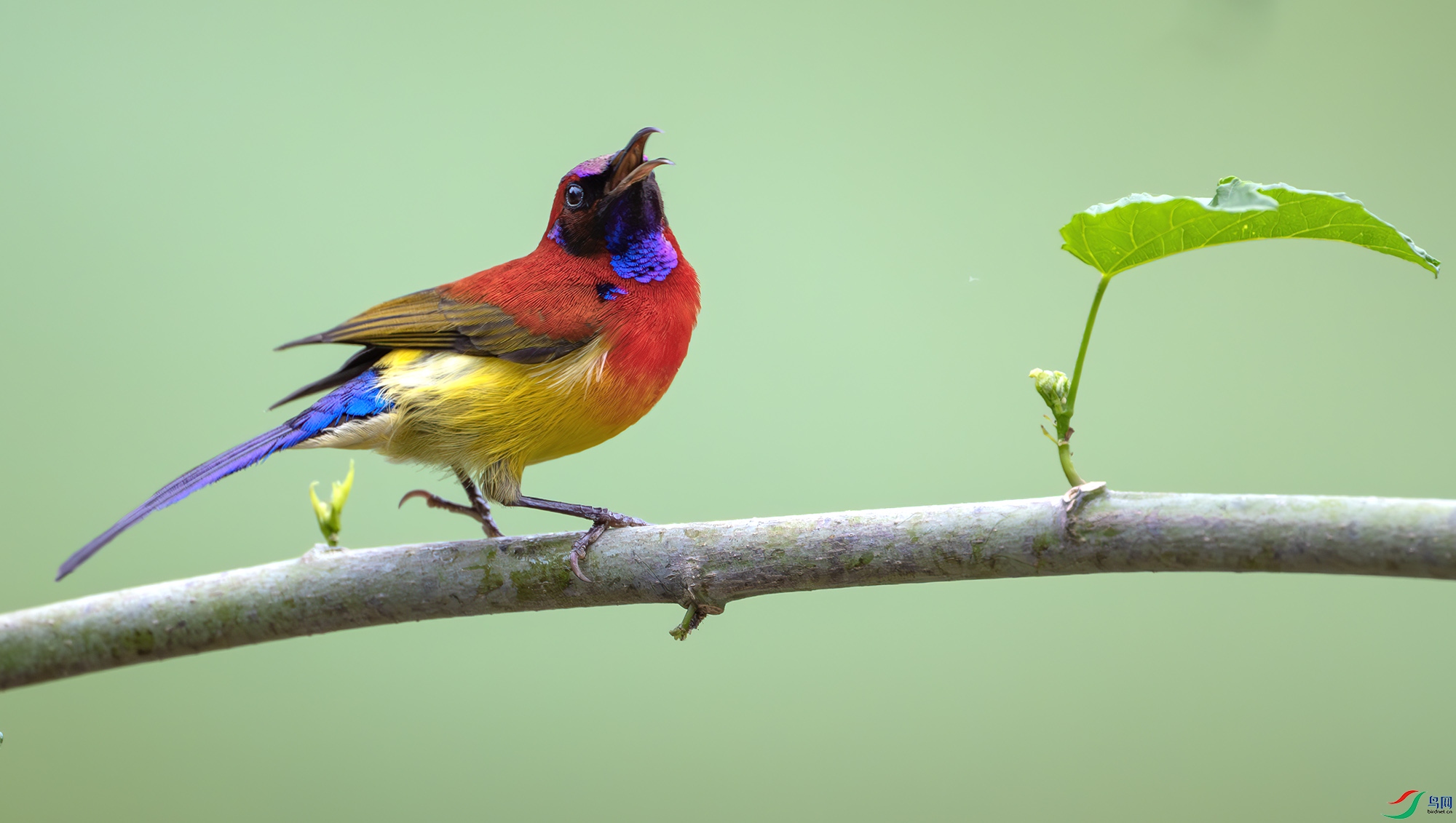 Y25_7519-����ǿ-NR ����.jpg