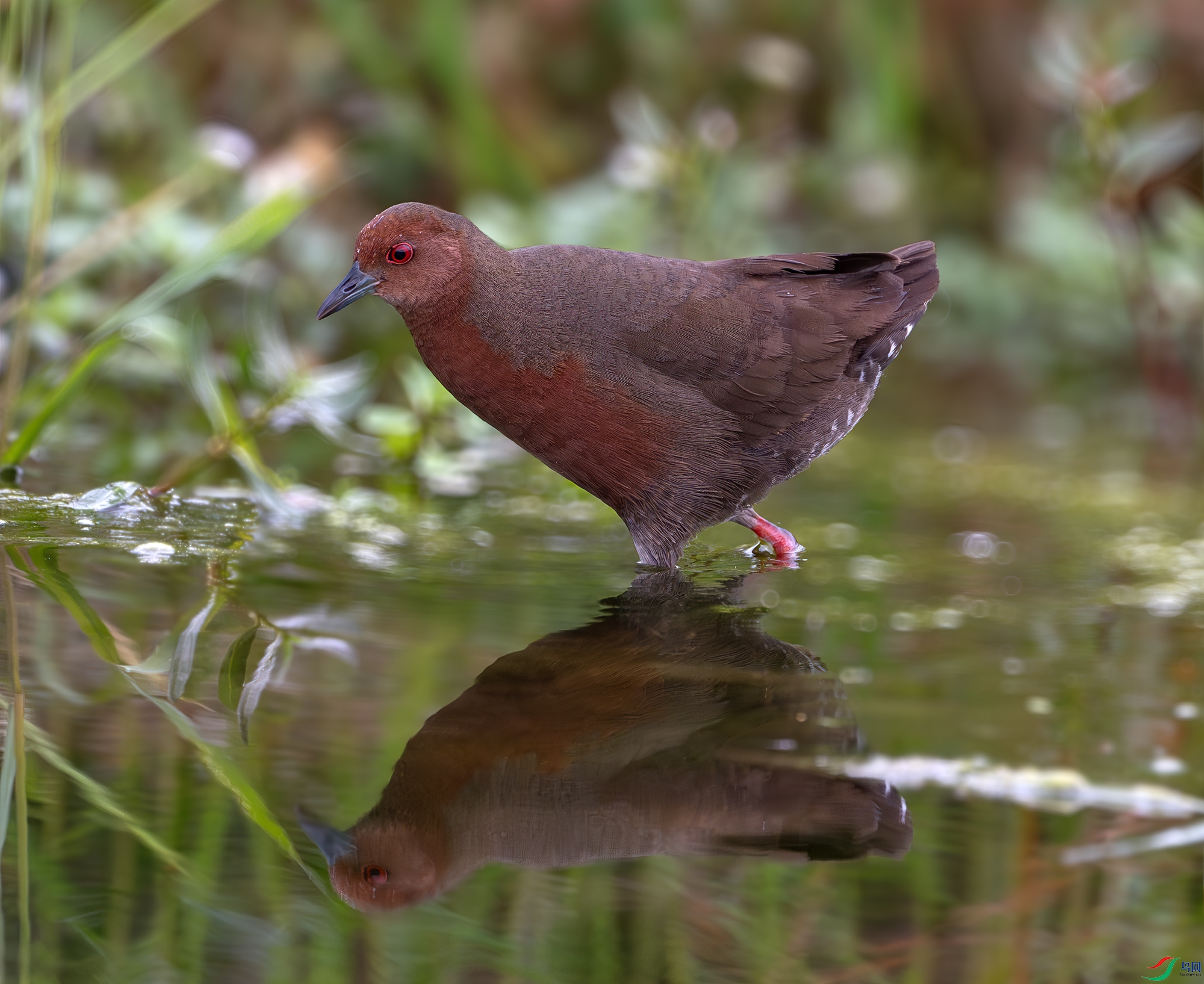 Y25_0065-����ǿ-NR ����.jpg