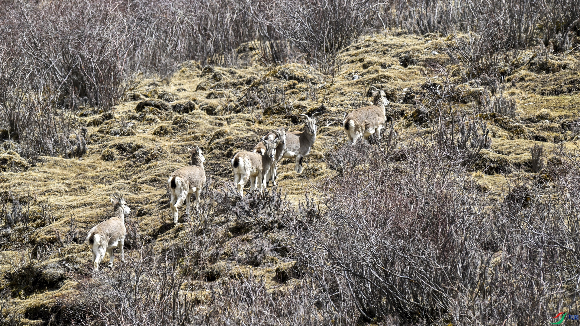 _DSC7253_����.jpg