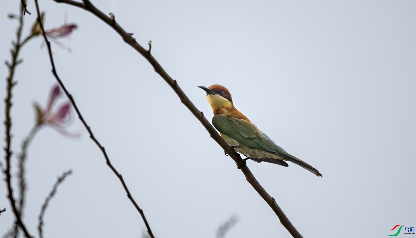 DSC_5153 ����.jpg