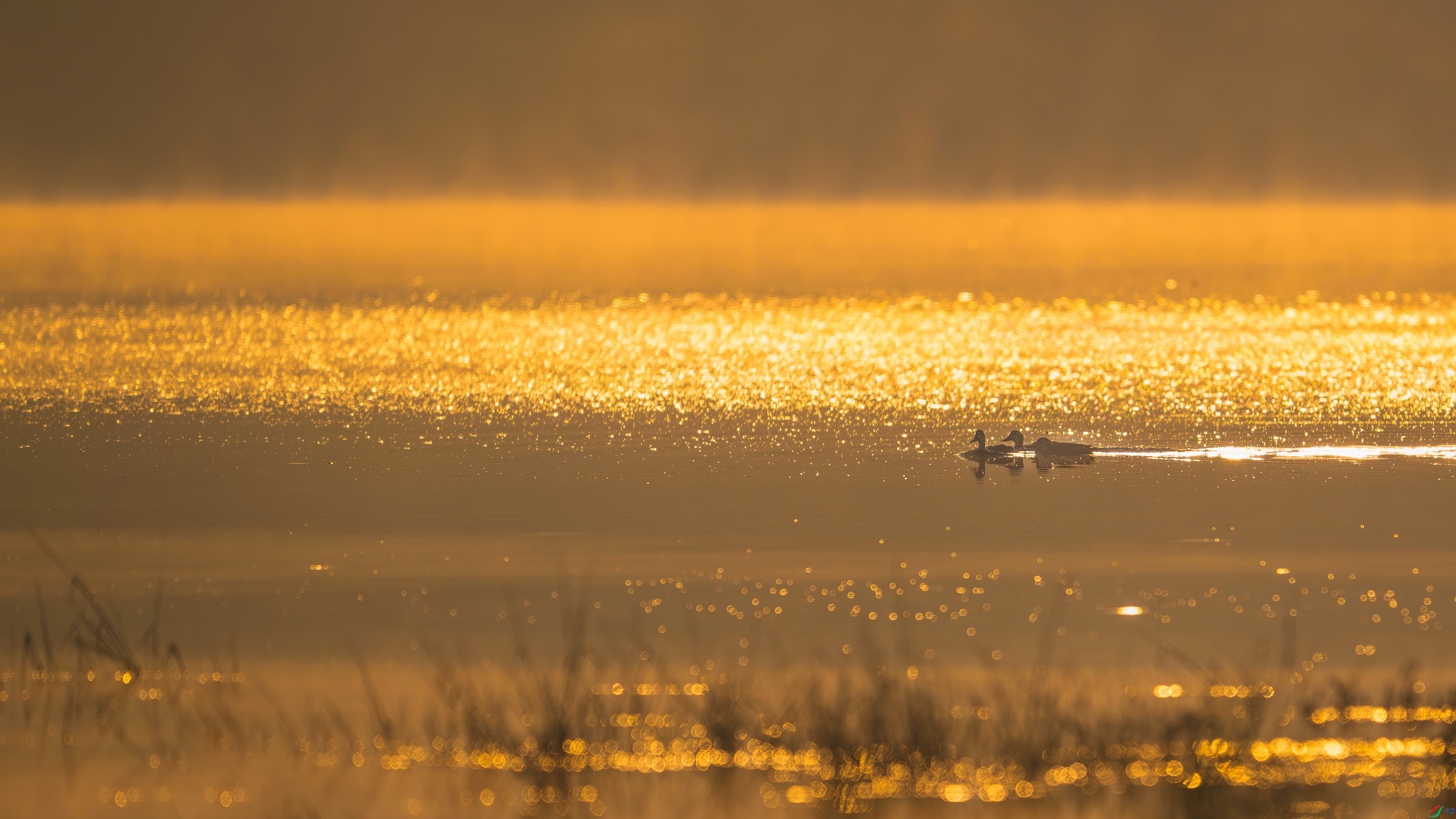 e62045808f6c249eb410fff04680e600 ����.jpg