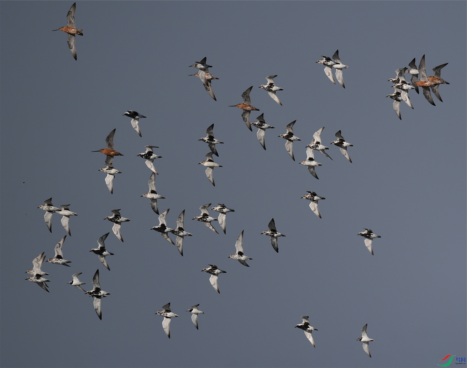 DSC_6214 ����.jpeg