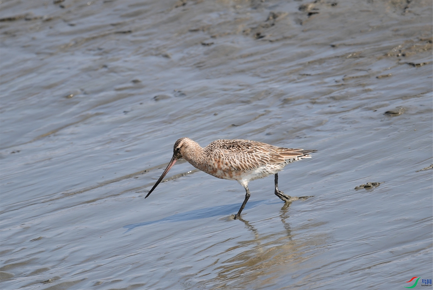 DSC_6000 ����.jpeg