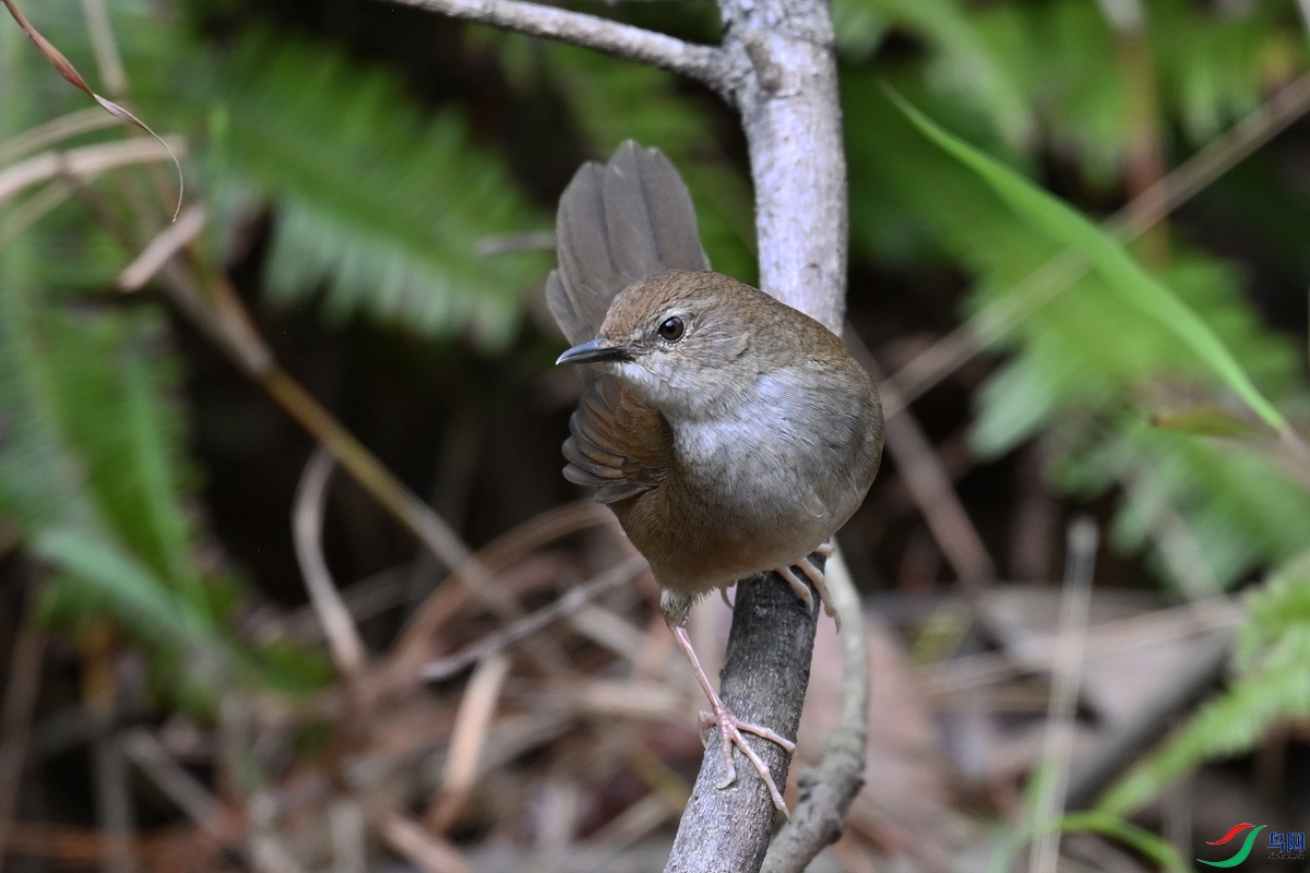 DSC_8871.JPG