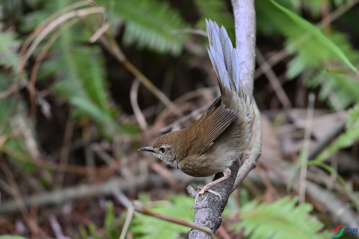 DSC_8886.JPG