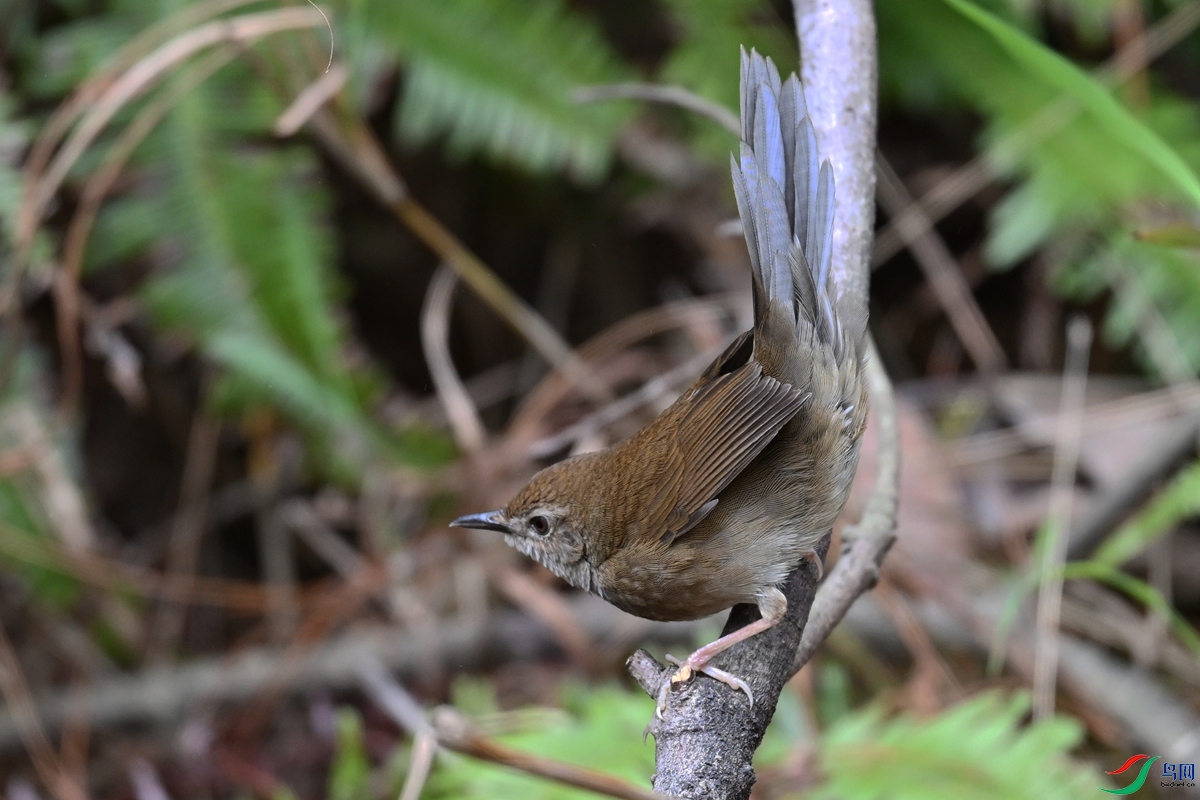 DSC_8887.JPG