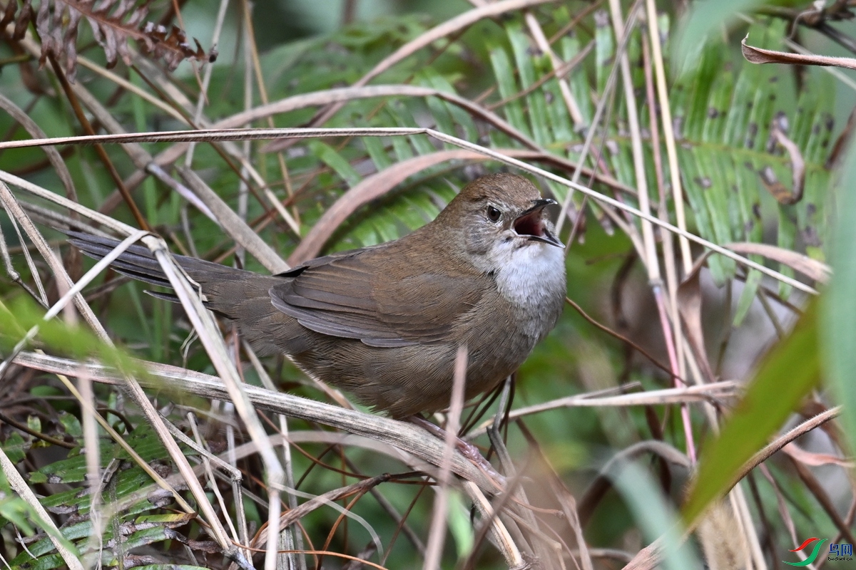 DSC_8892.JPG