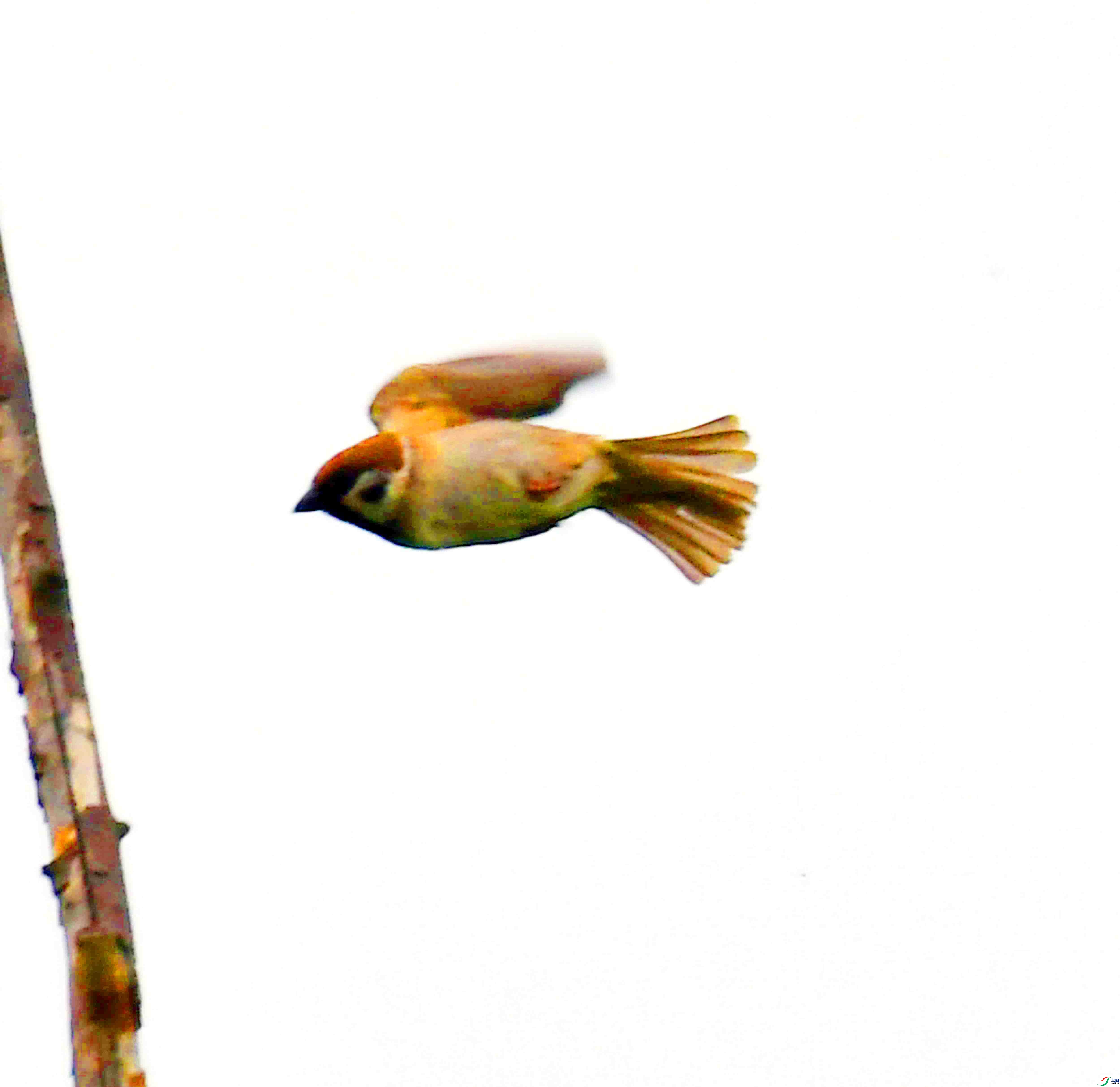 DSC_2427.JPG