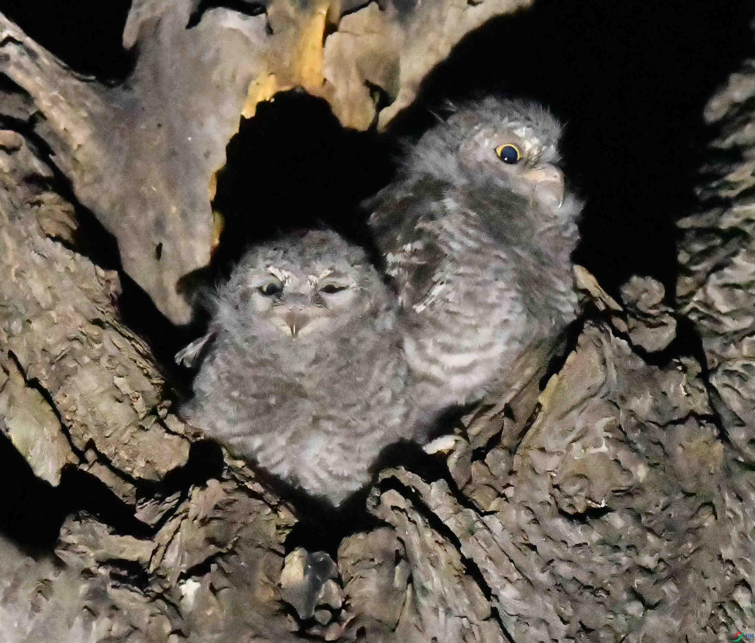 DSC_4631.JPG
