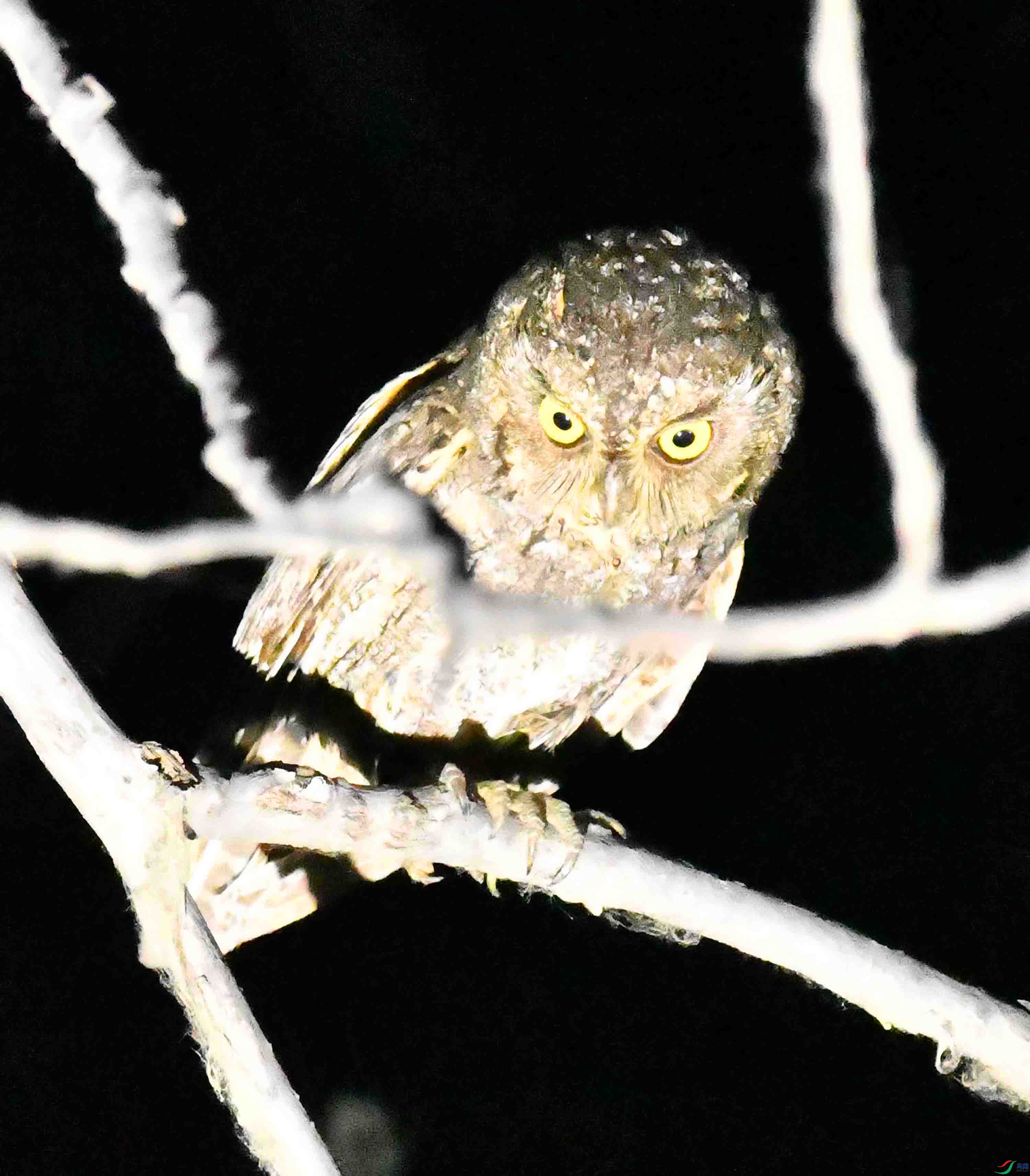 DSC_4719.JPG