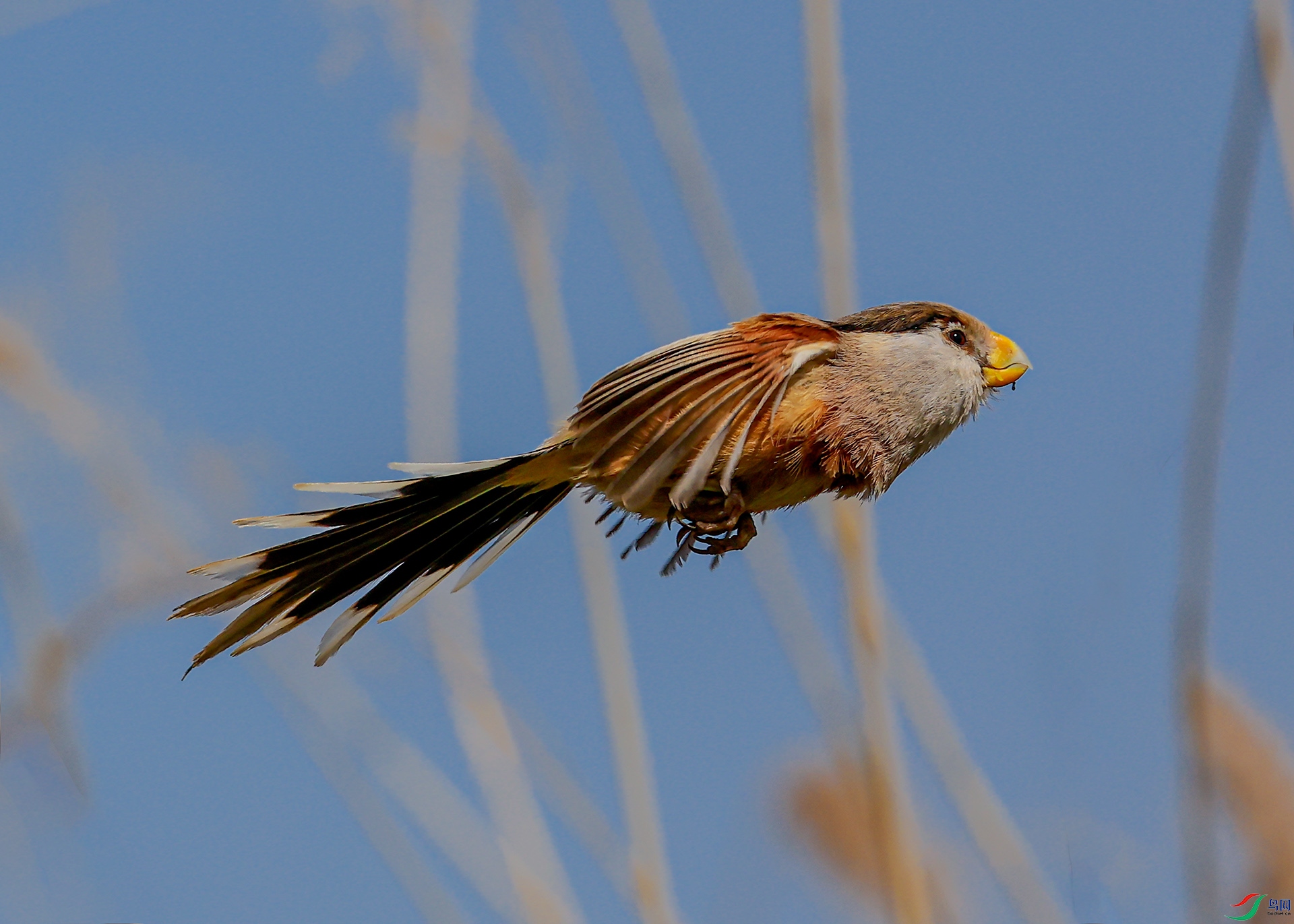 0507�� �����.jpg