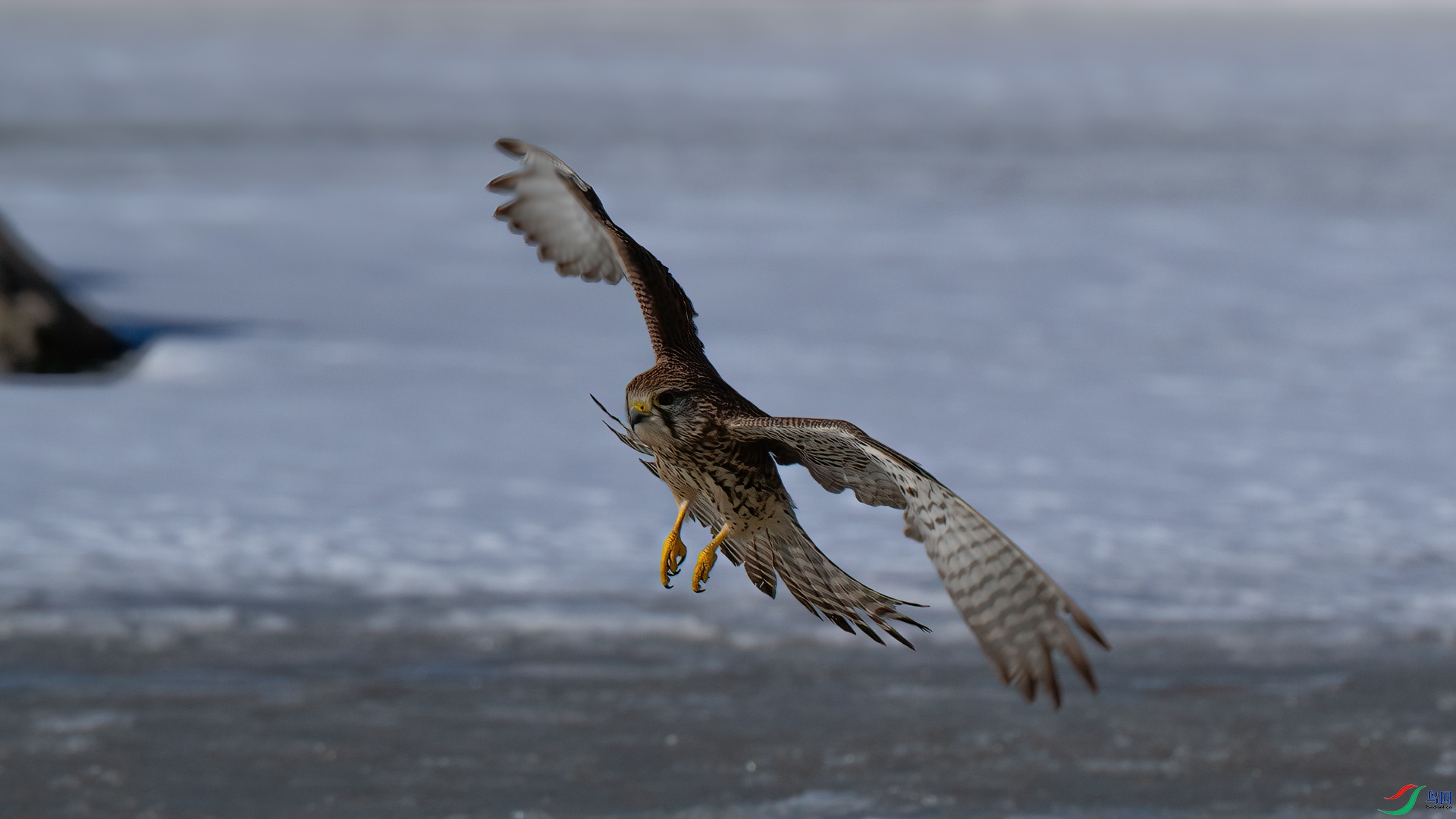 _DSC5395-1x2.jpg