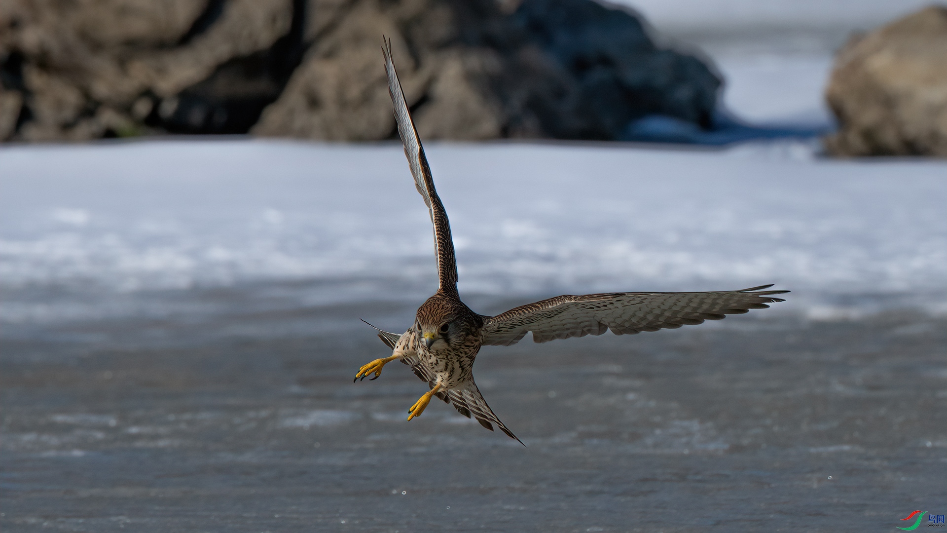 _DSC5450-1x3.jpg