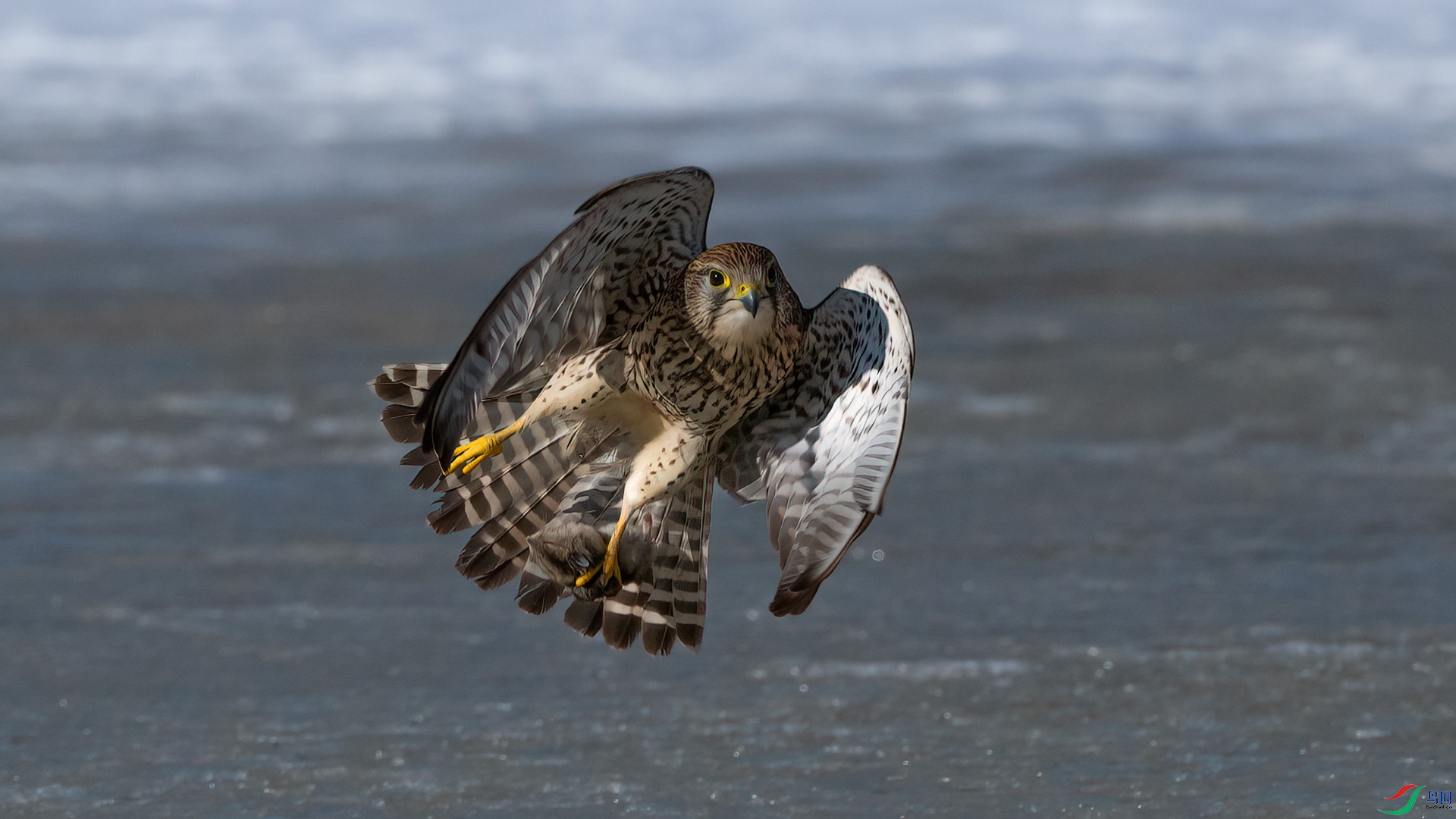 _DSC5460-1x10.jpg