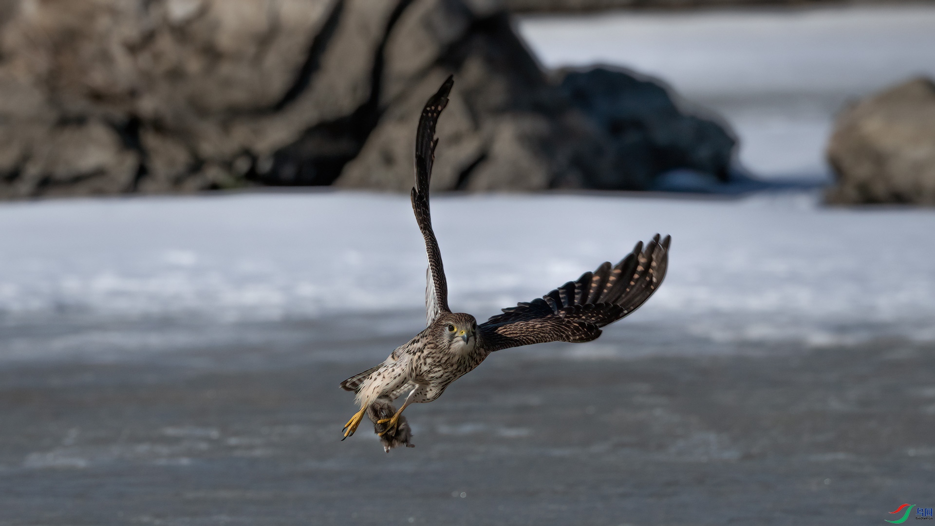 _DSC5461-1x12.jpg