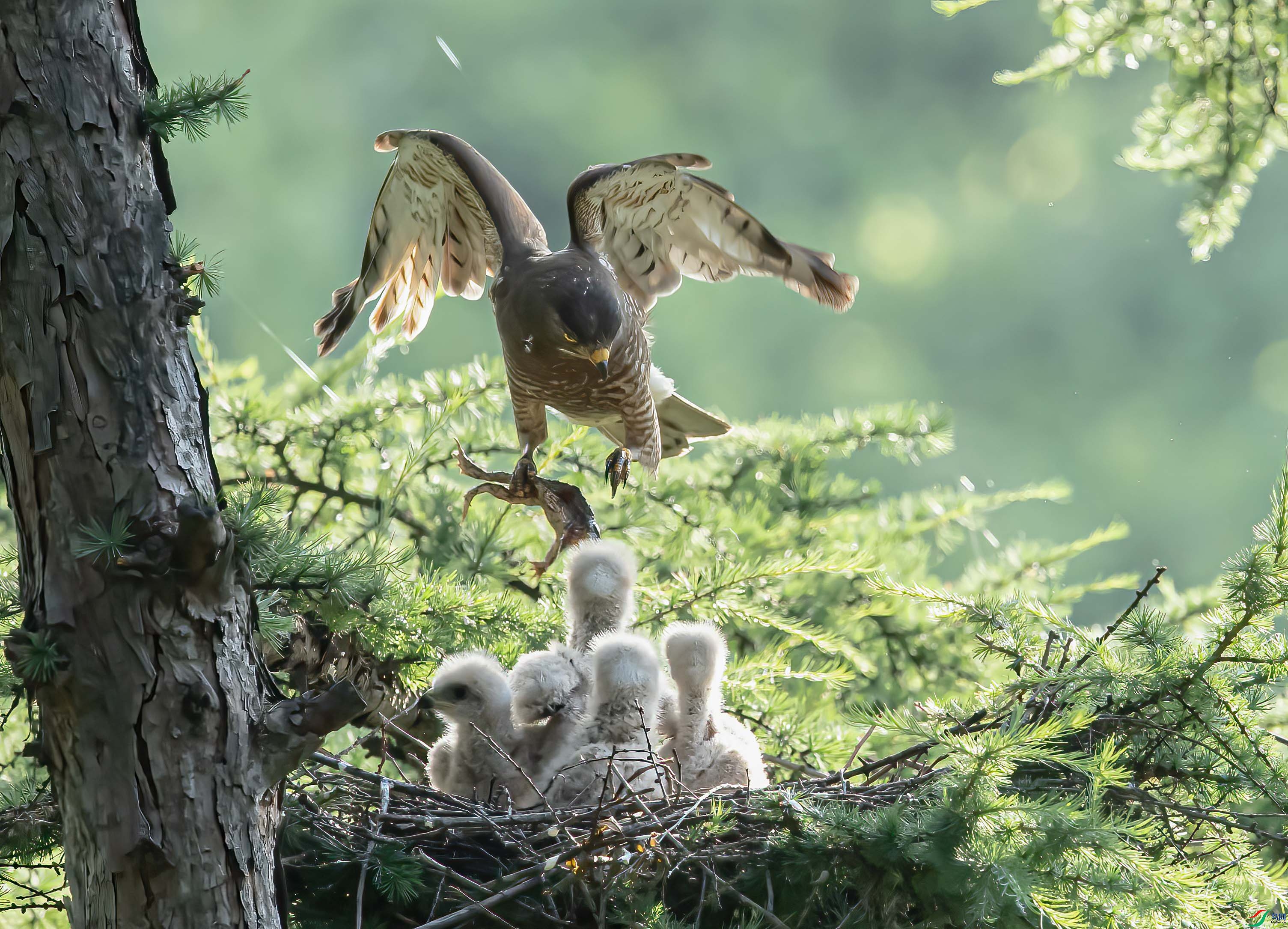 DSC_0486 ����.jpg