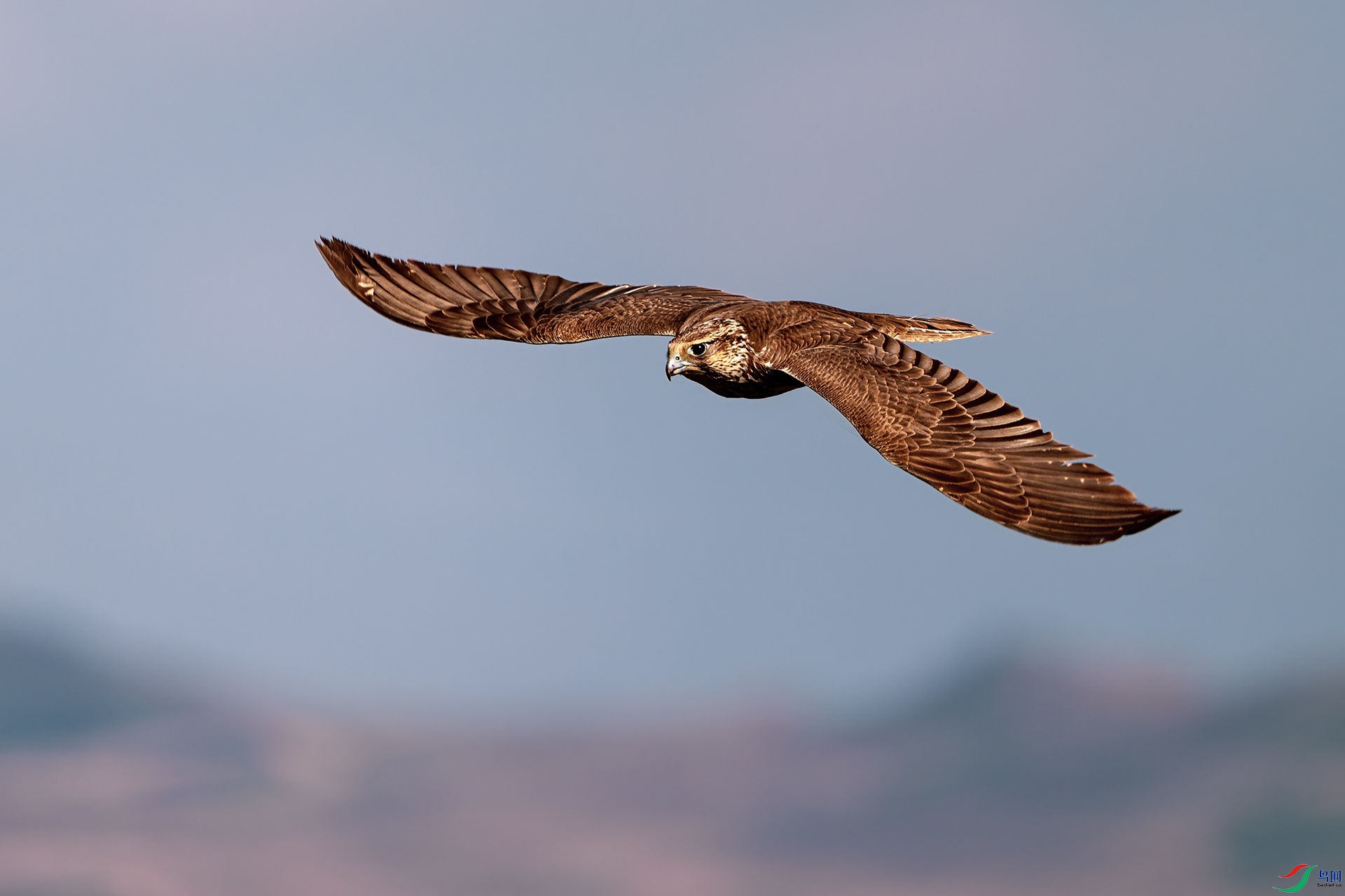 _DSC0666 ����С.jpg