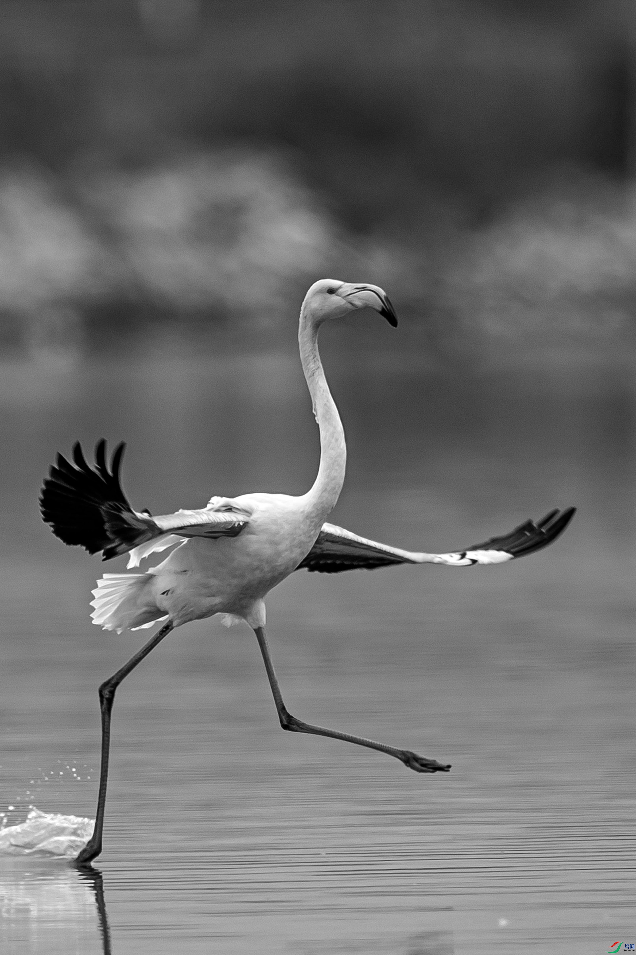 �ߡ�������������